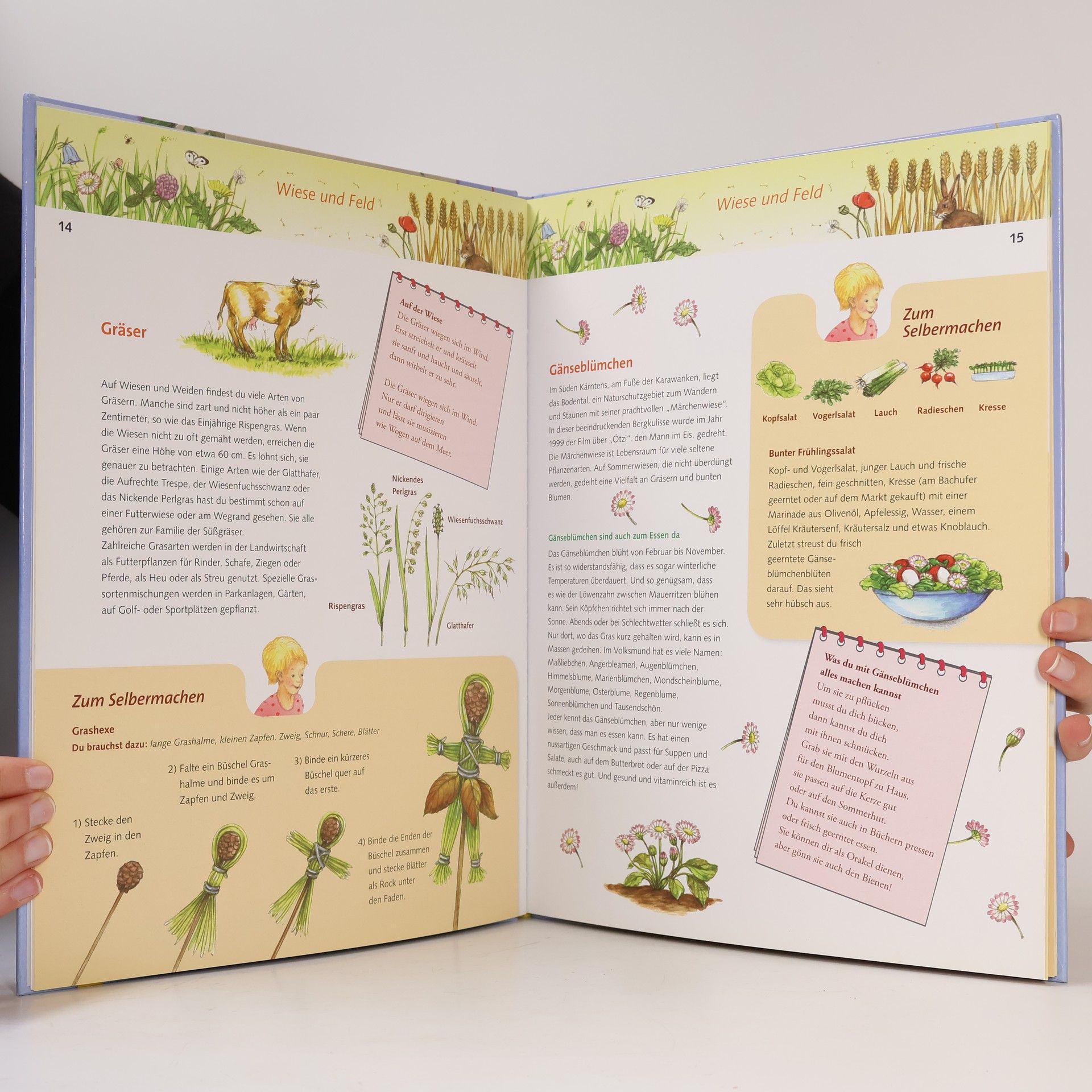 Christine Rettl Mein großes Naturbuch aus Österreich
