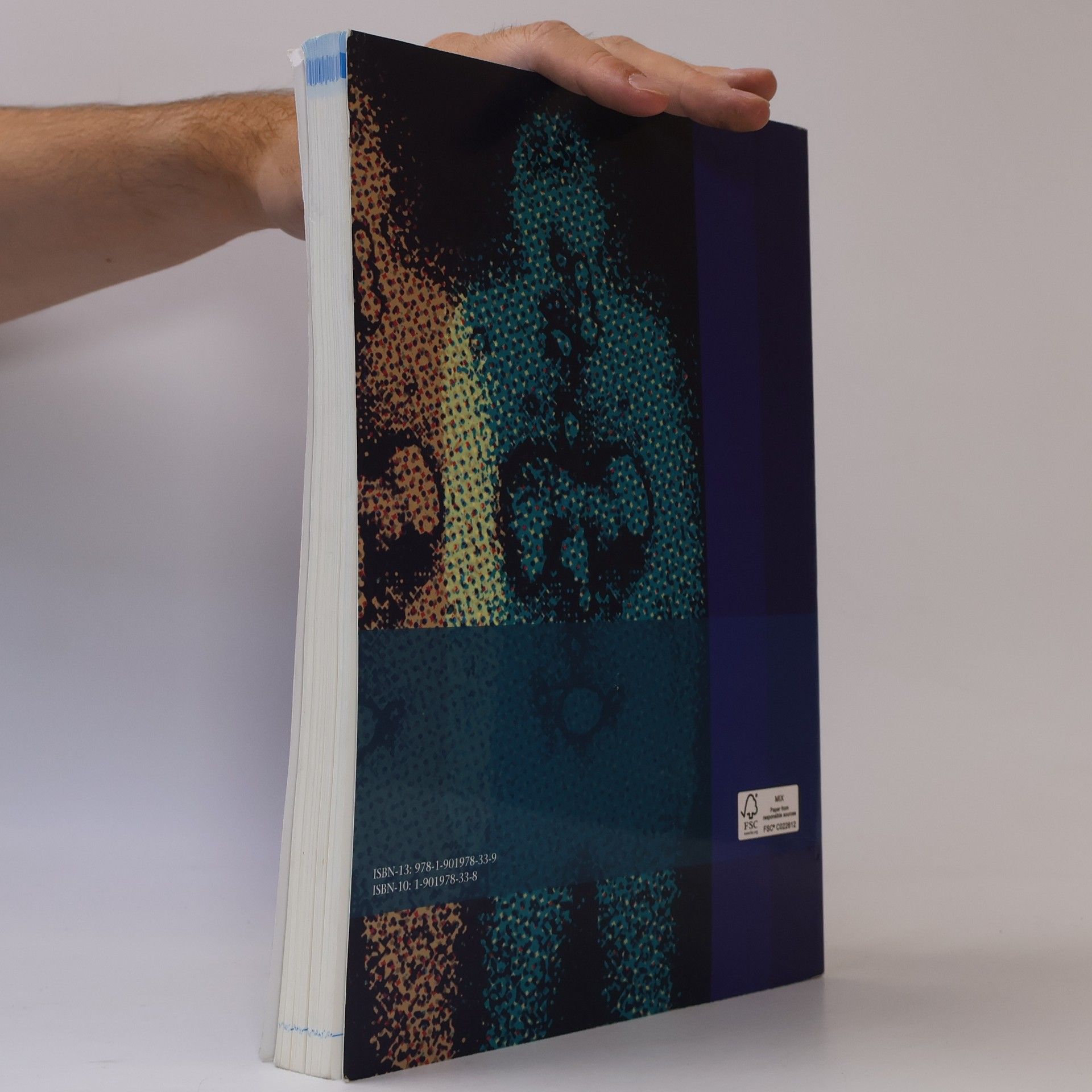 Martyn Evan Caplin Handbook of Gastroenteropancreatic and Thoracic Neuroendocrine Tumours