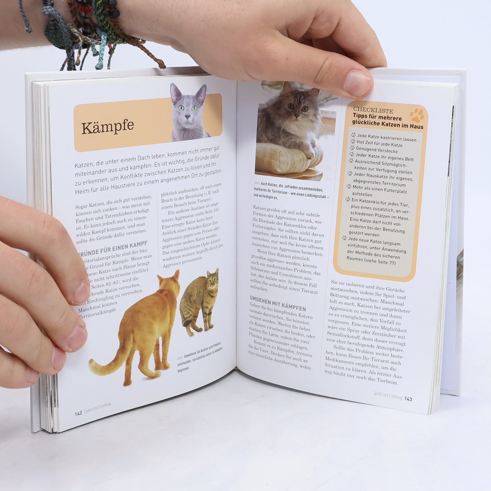 Catherine Davidson Das Katzen-Versteher-Buch