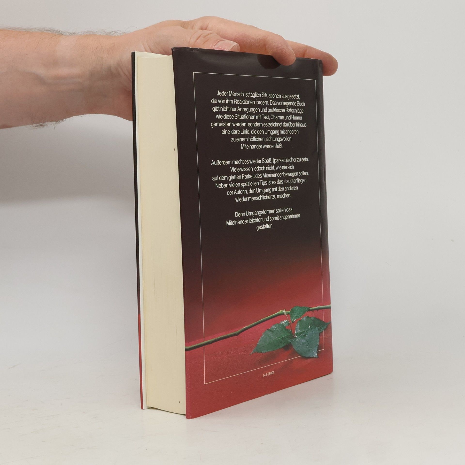Petra Schmidt Decker Das große Buch des guten Benehmens