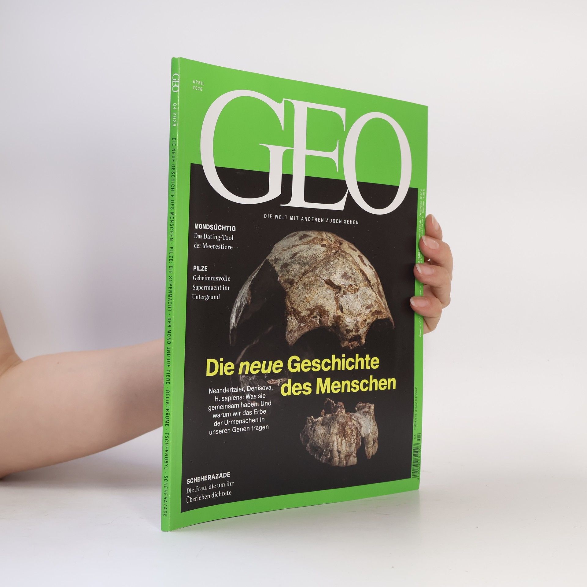 Autorenkollektiv GEO 04