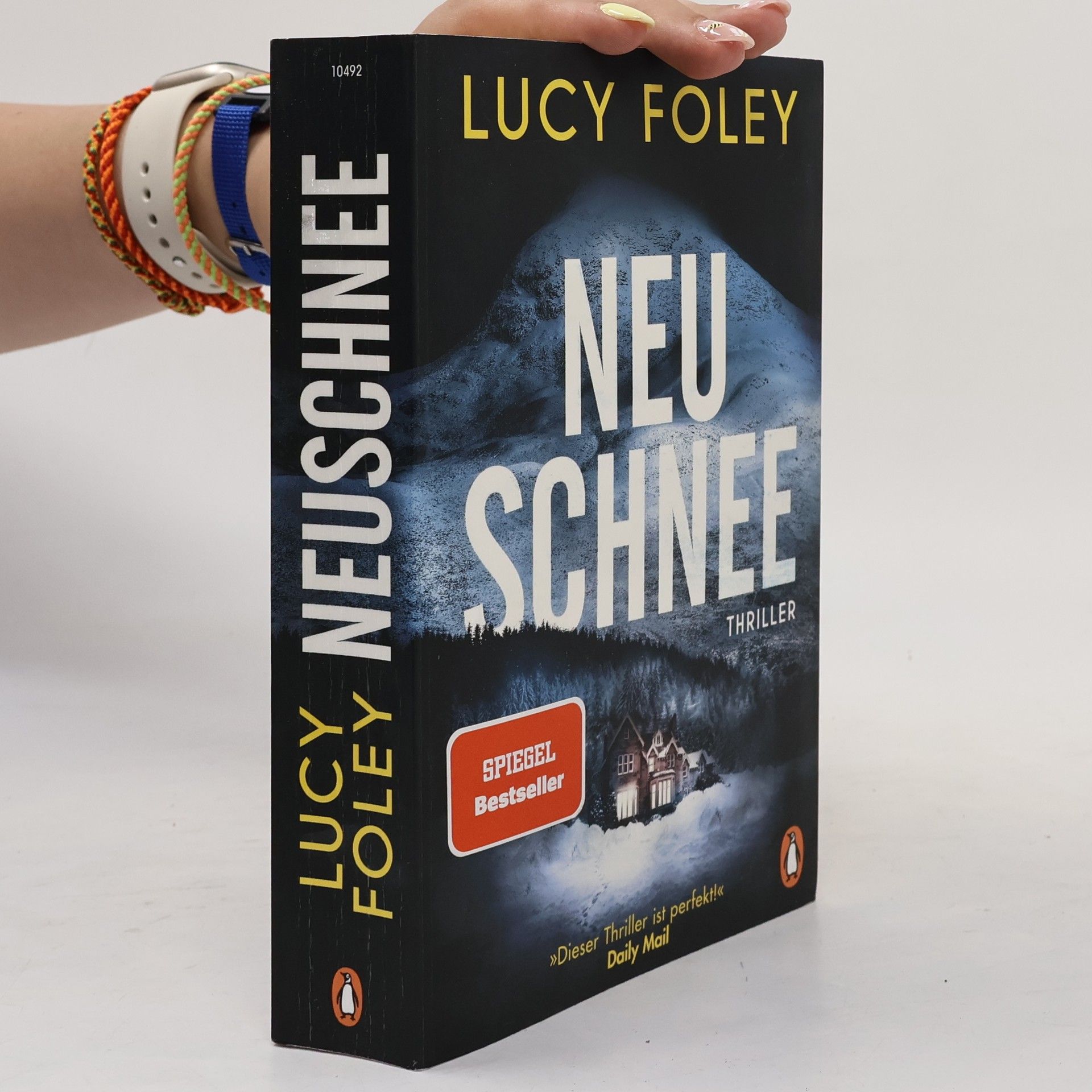 Lucy Foley Neuschnee