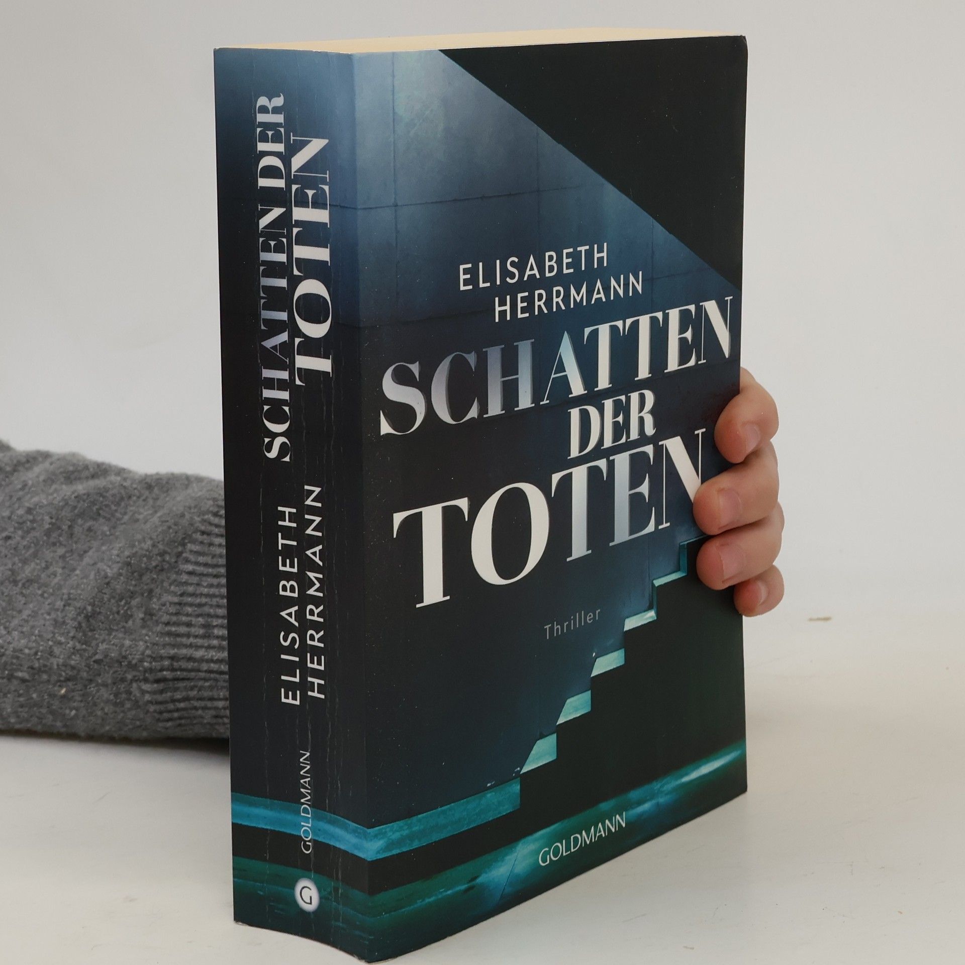 Elisabeth Hermann Schatten der Toten