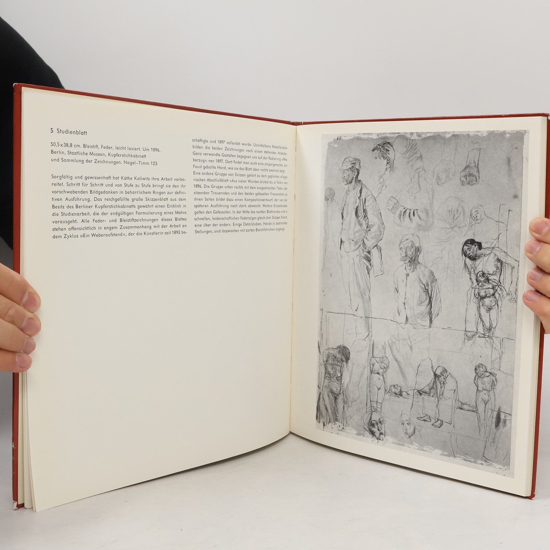 Werner Timm Welt der Kunst. Käthe Kollwitz