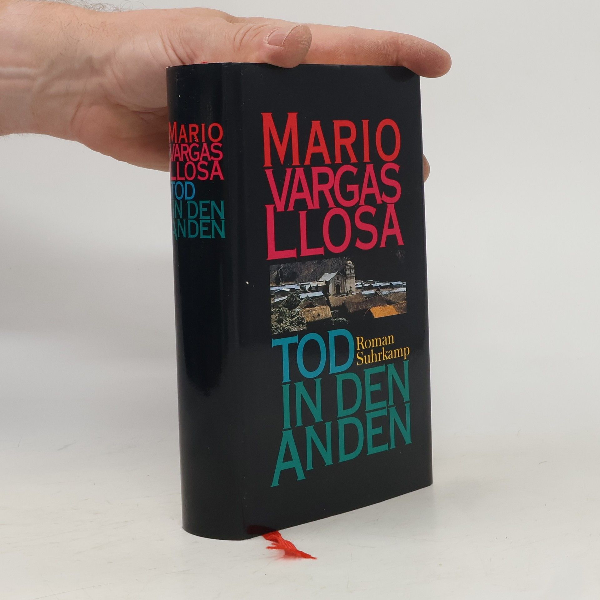Mario Vargas Llosa Tod in den Anden