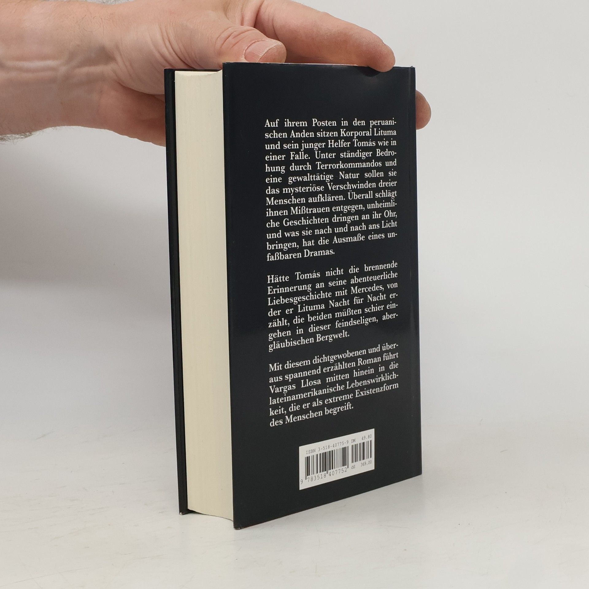Mario Vargas Llosa Tod in den Anden