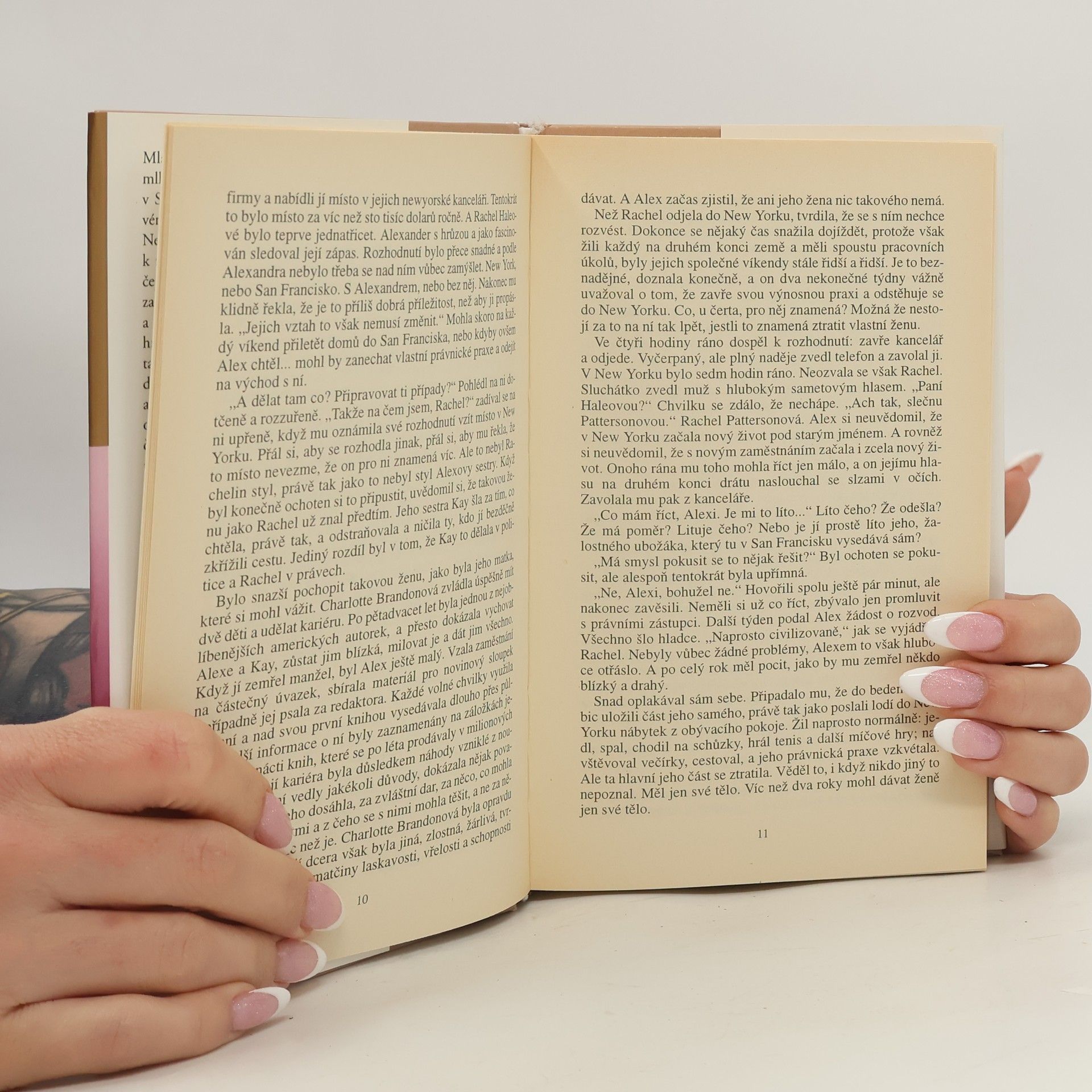 Danielle Steel Cizí žena