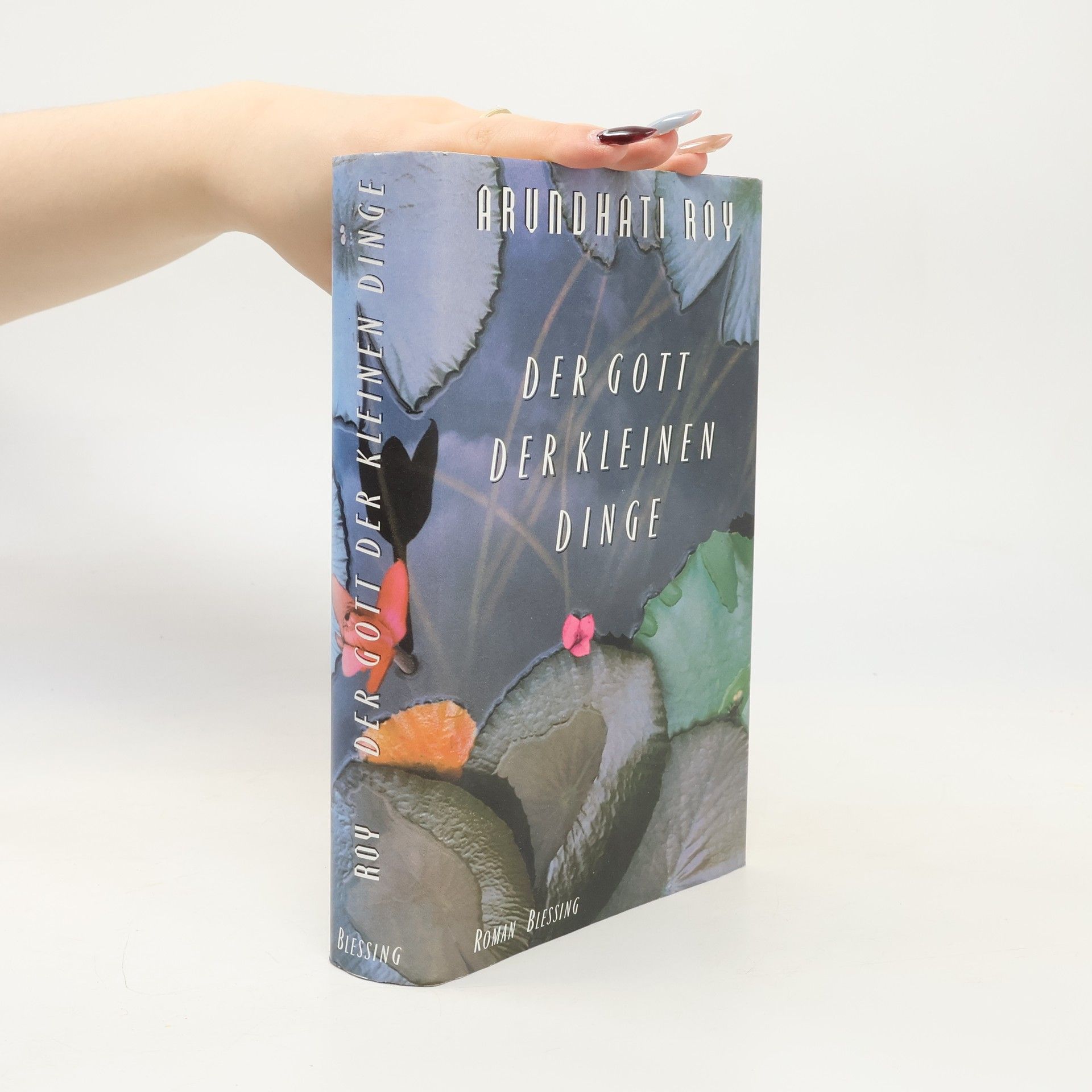 Arundhati Roy Der Gott der Kleinen Dinge