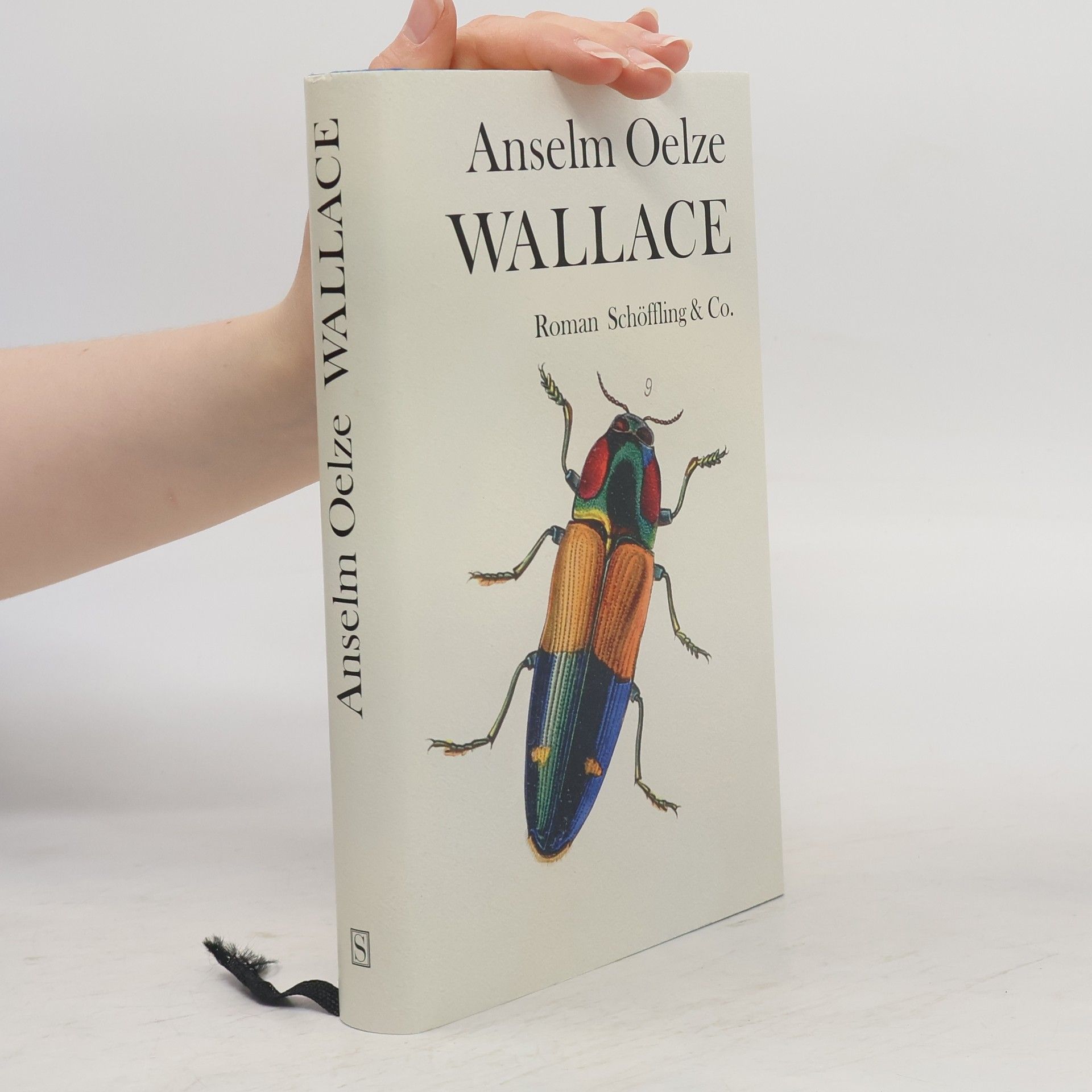 Anselm Oelze Wallace