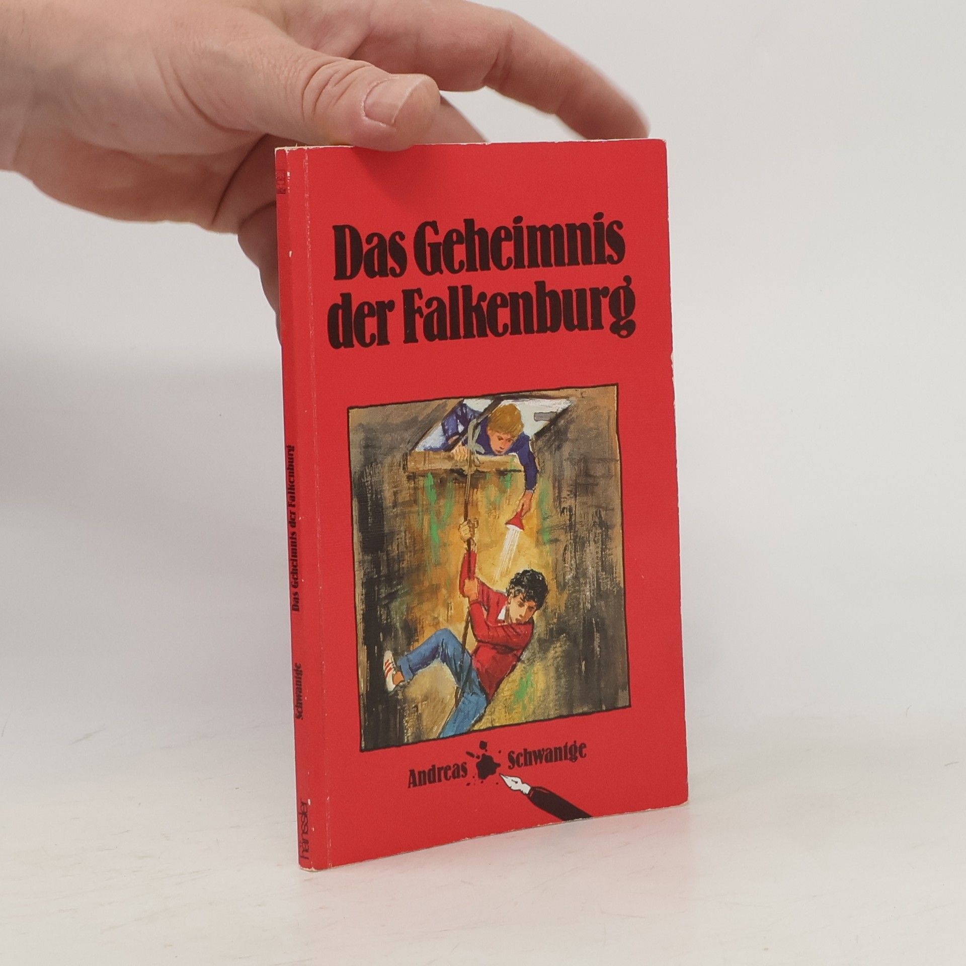 Das Geheimnis der Falkenburg
