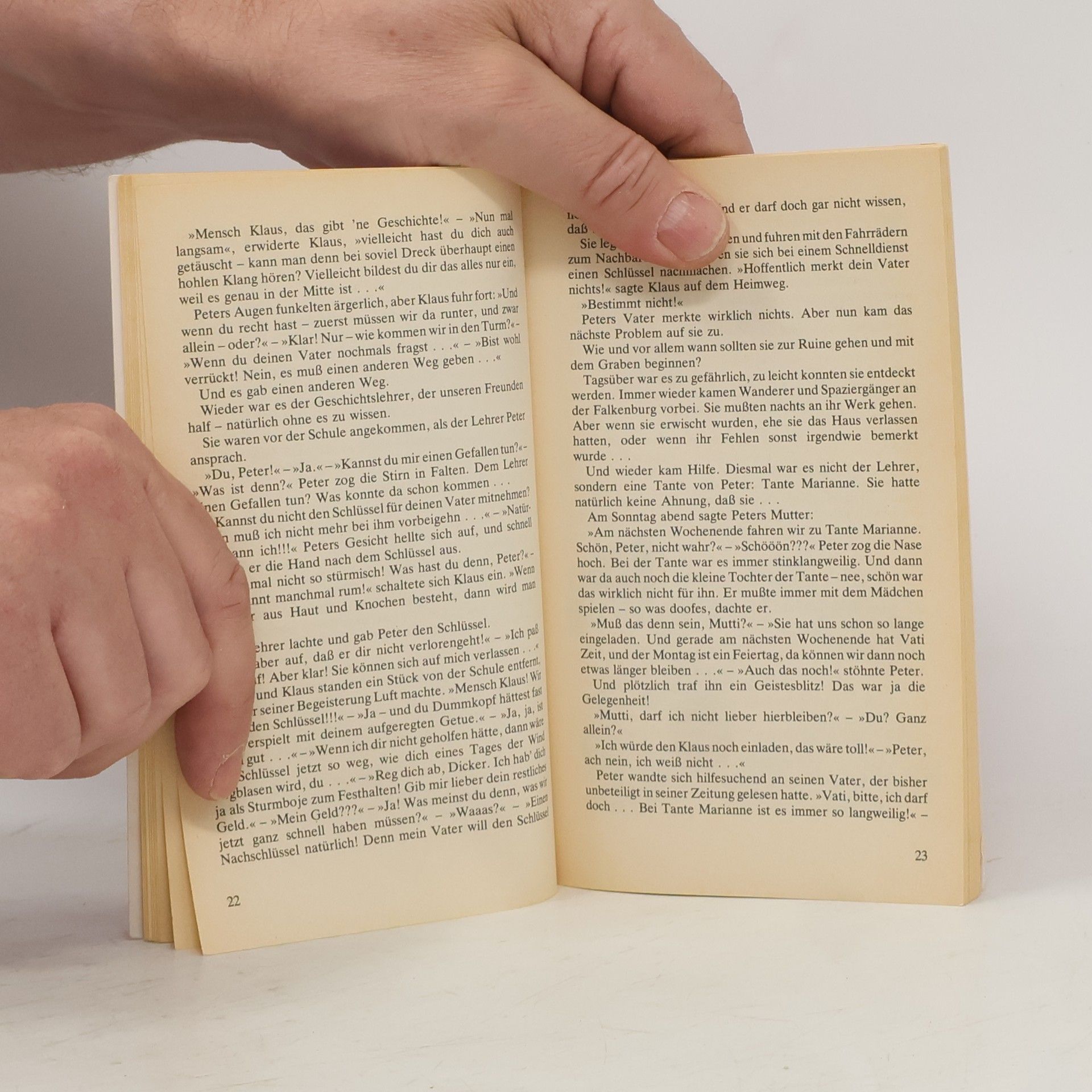 Andreas Schwantge Das Geheimnis der Falkenburg