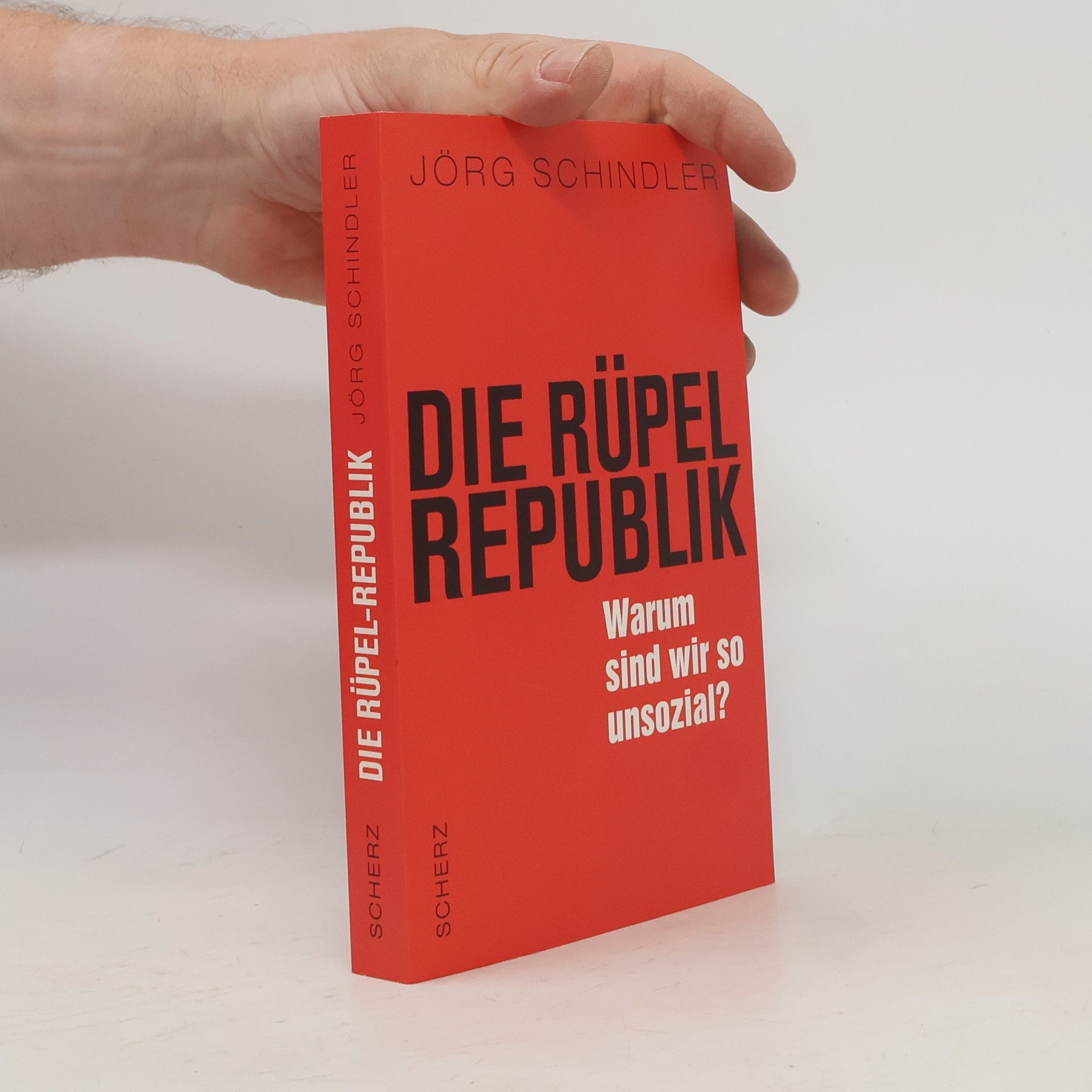Jörg Schindler-Schwabedissen Die Rüpel-Republik