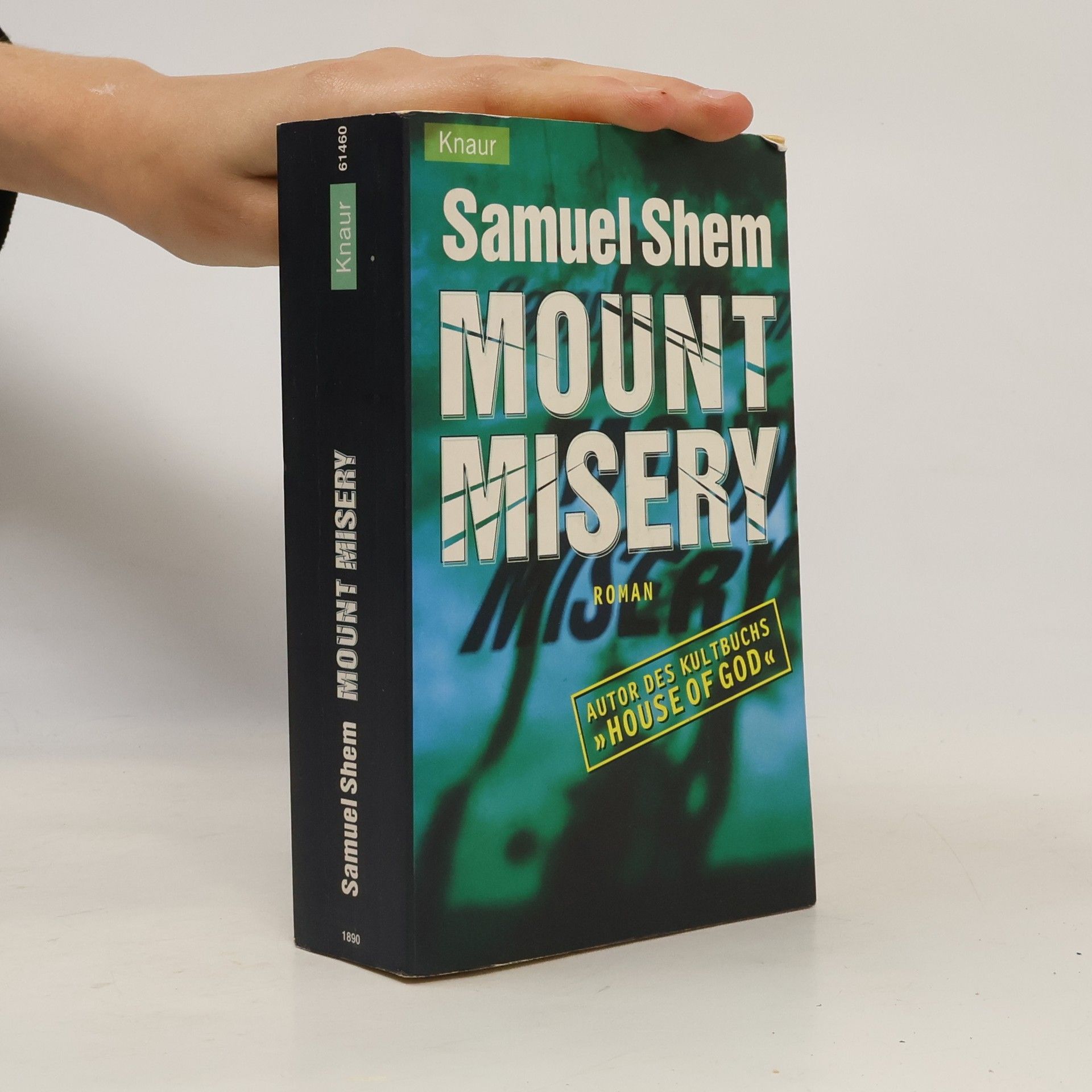 Samuel Shem Mount Misery