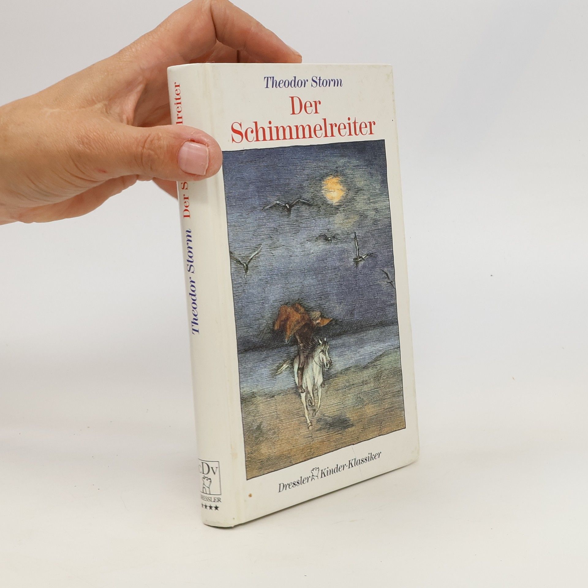 Theodor Storm Der Schimmelreiter