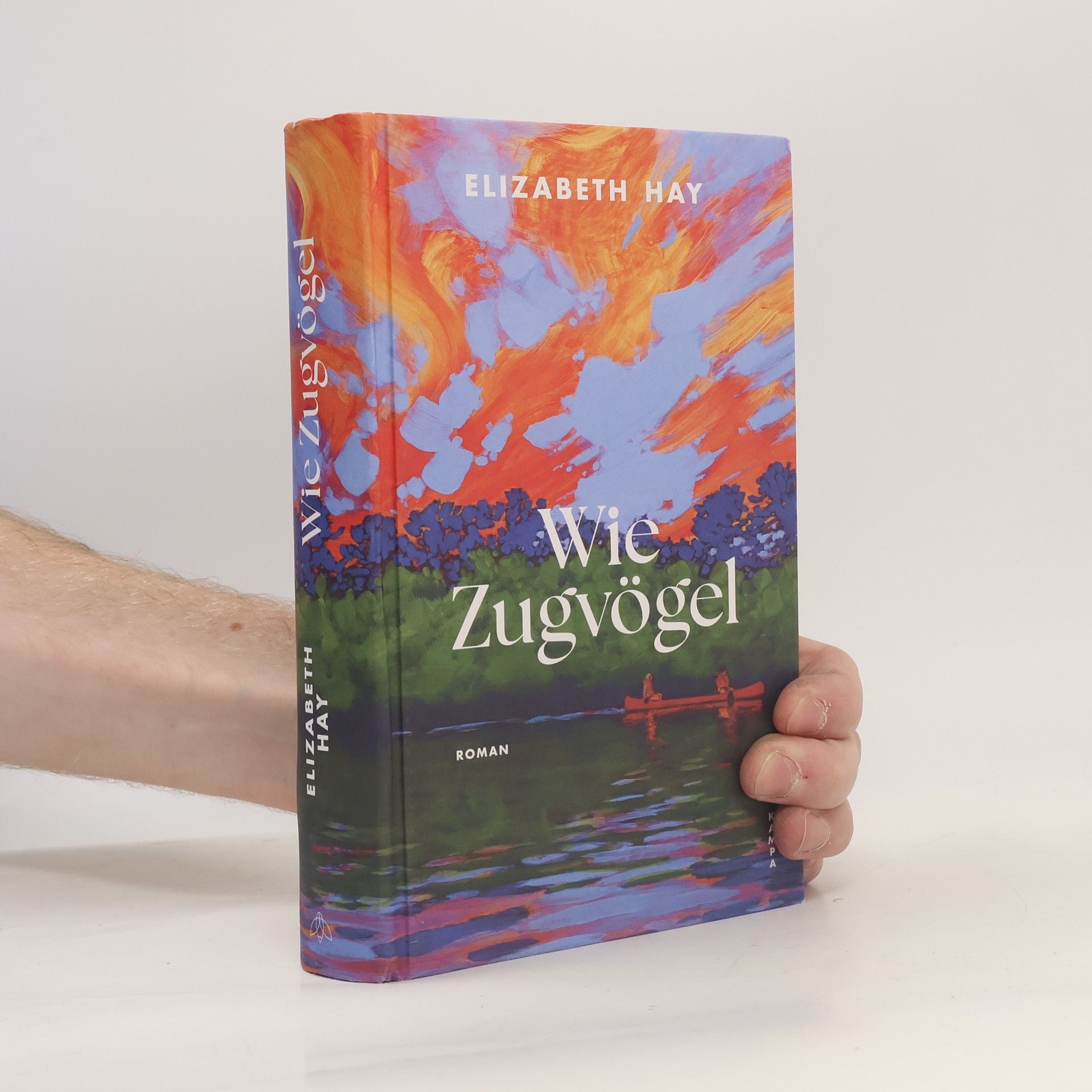 Elizabeth Hay Wie Zugvögel