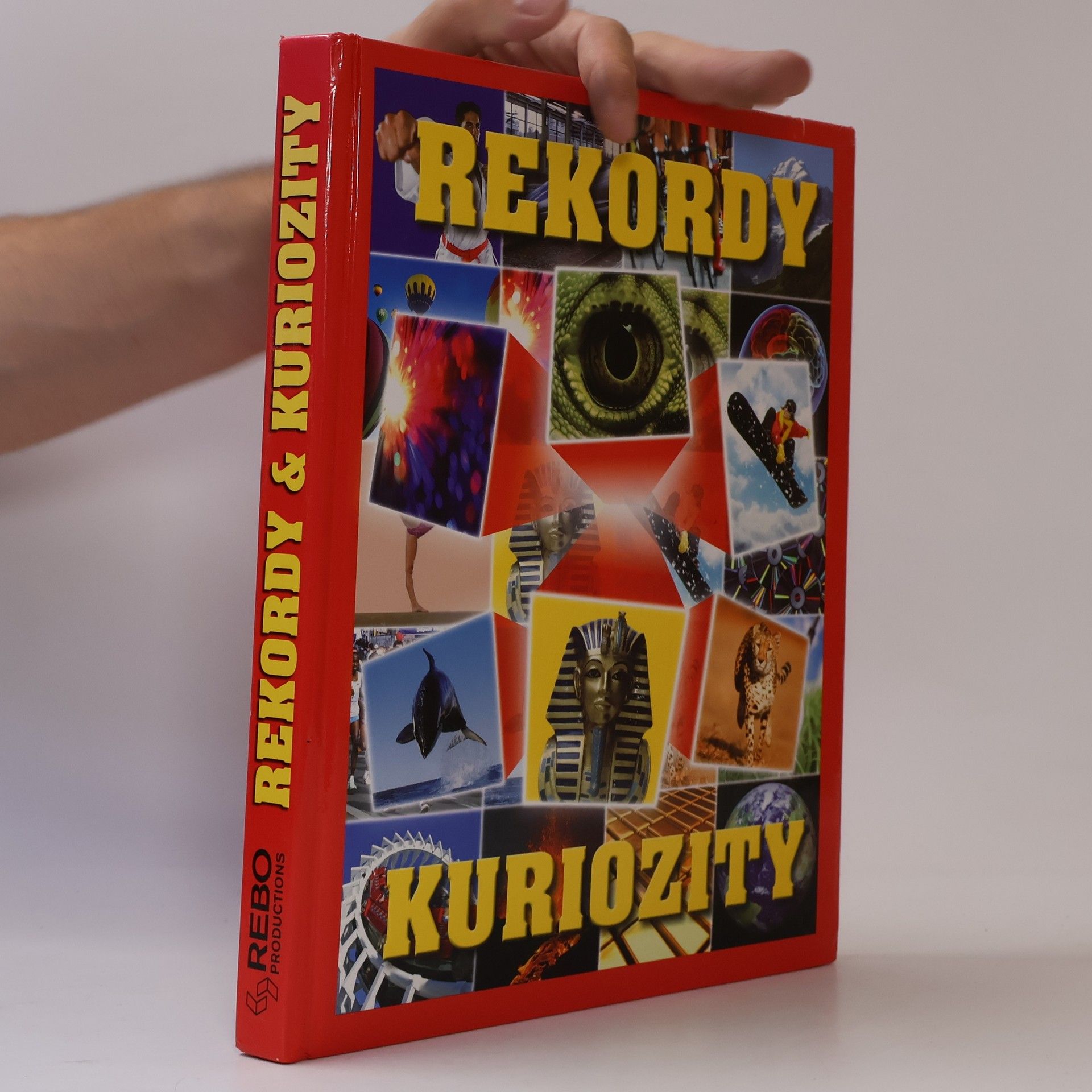Ivana Rybecká Rekordy & kuriozity