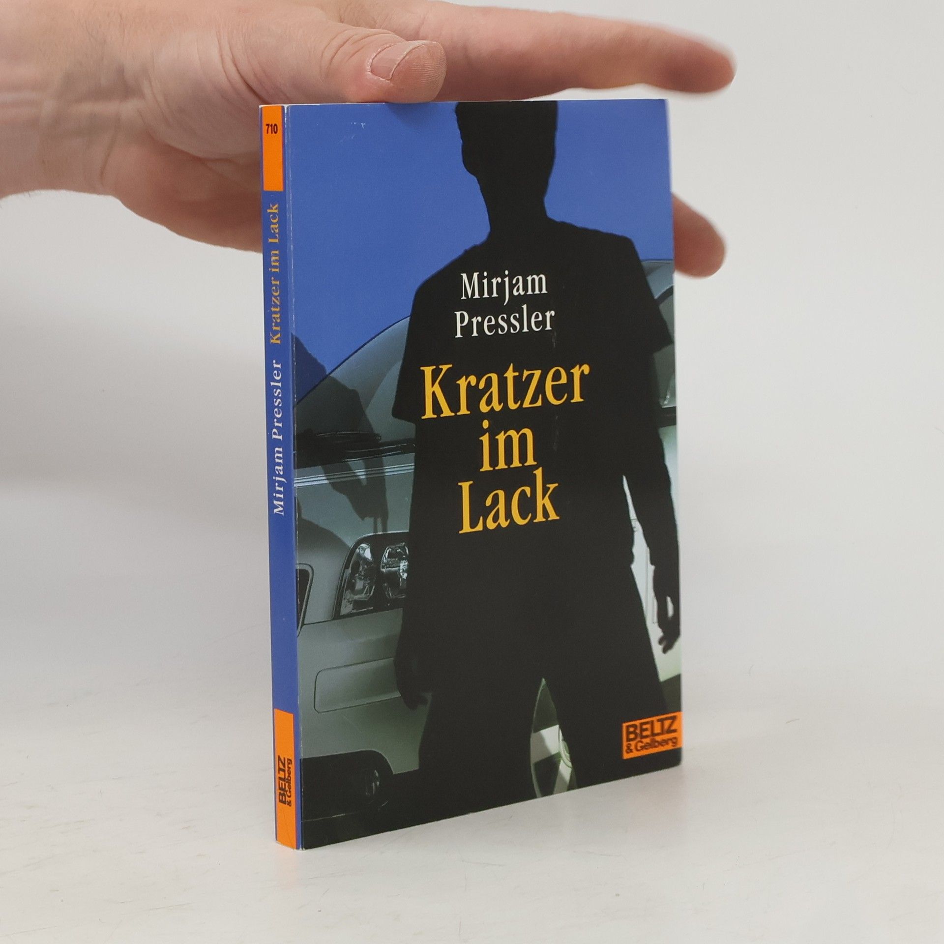 Mirjam Pressler Kratzer im Lack