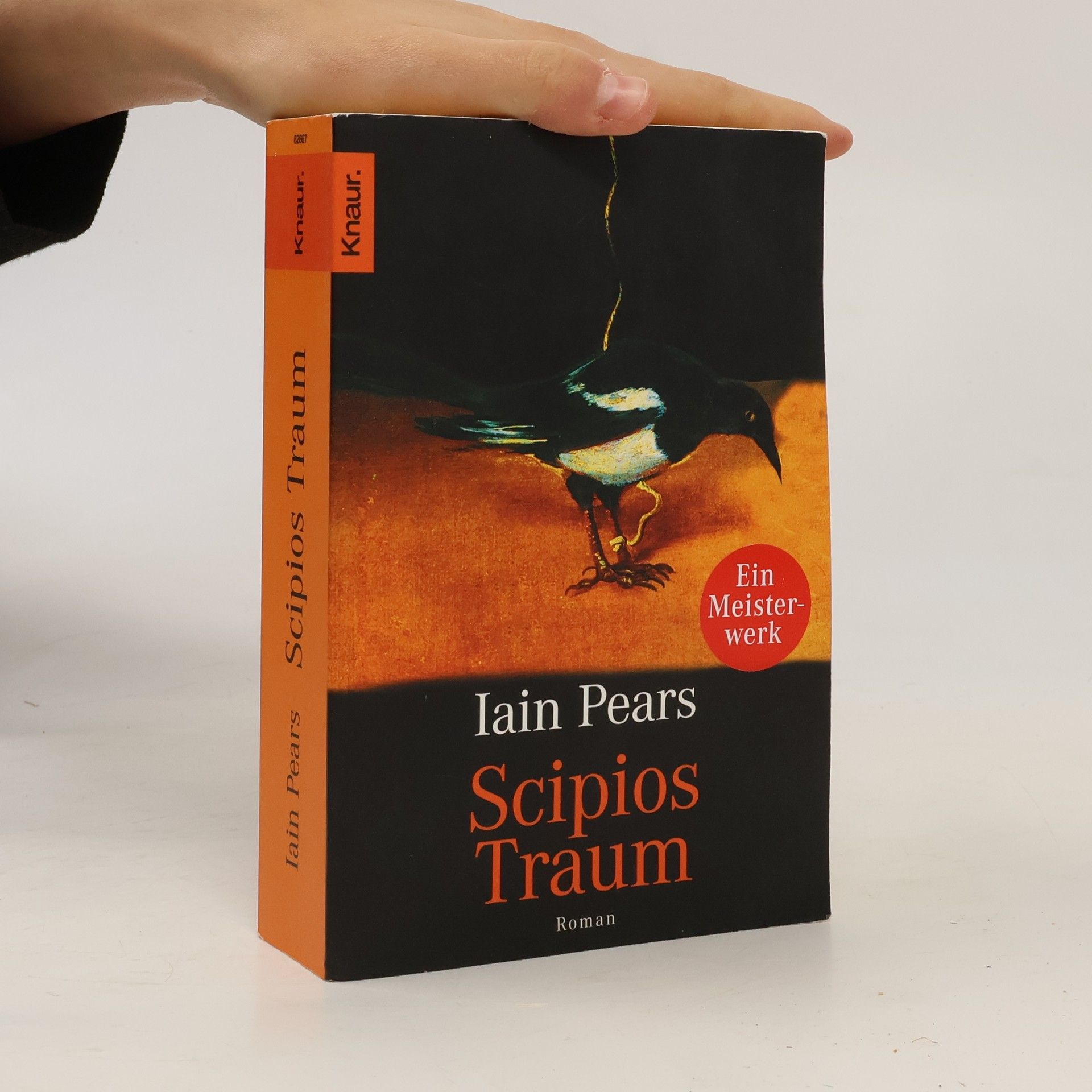 Iain Pears Scipios Traum