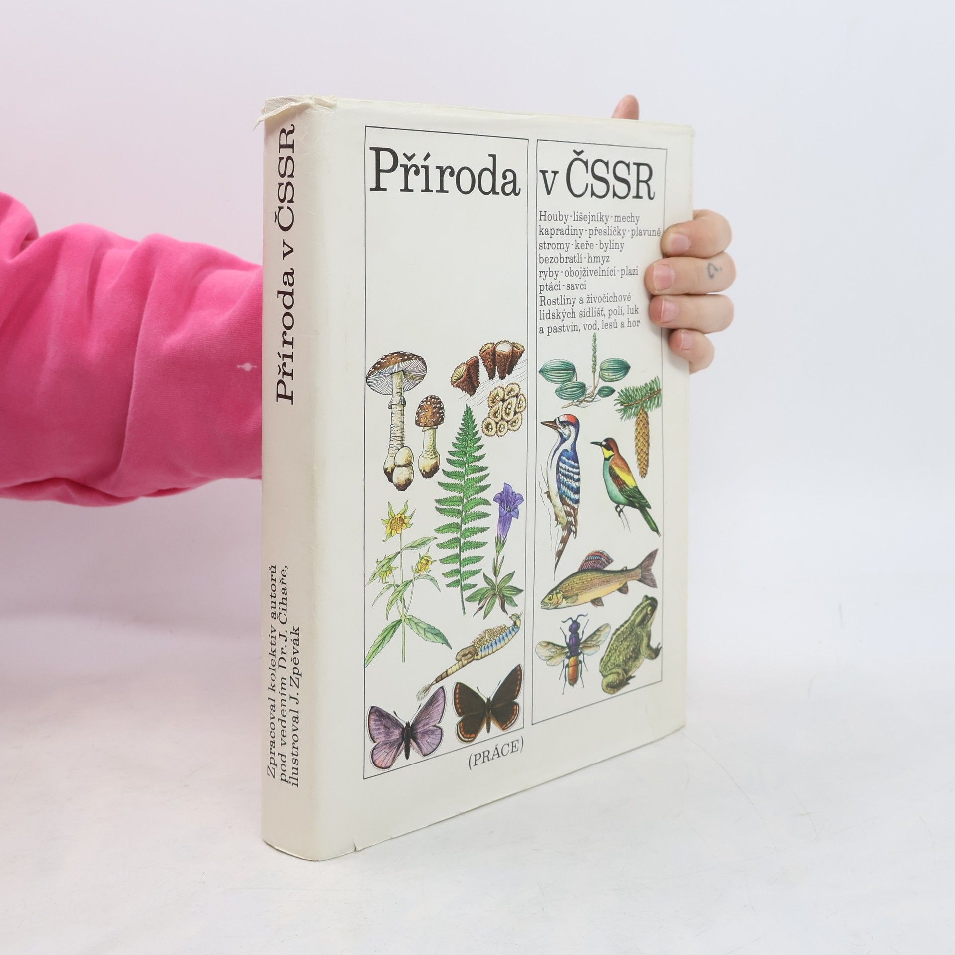 Autores varios Příroda v ČSSR