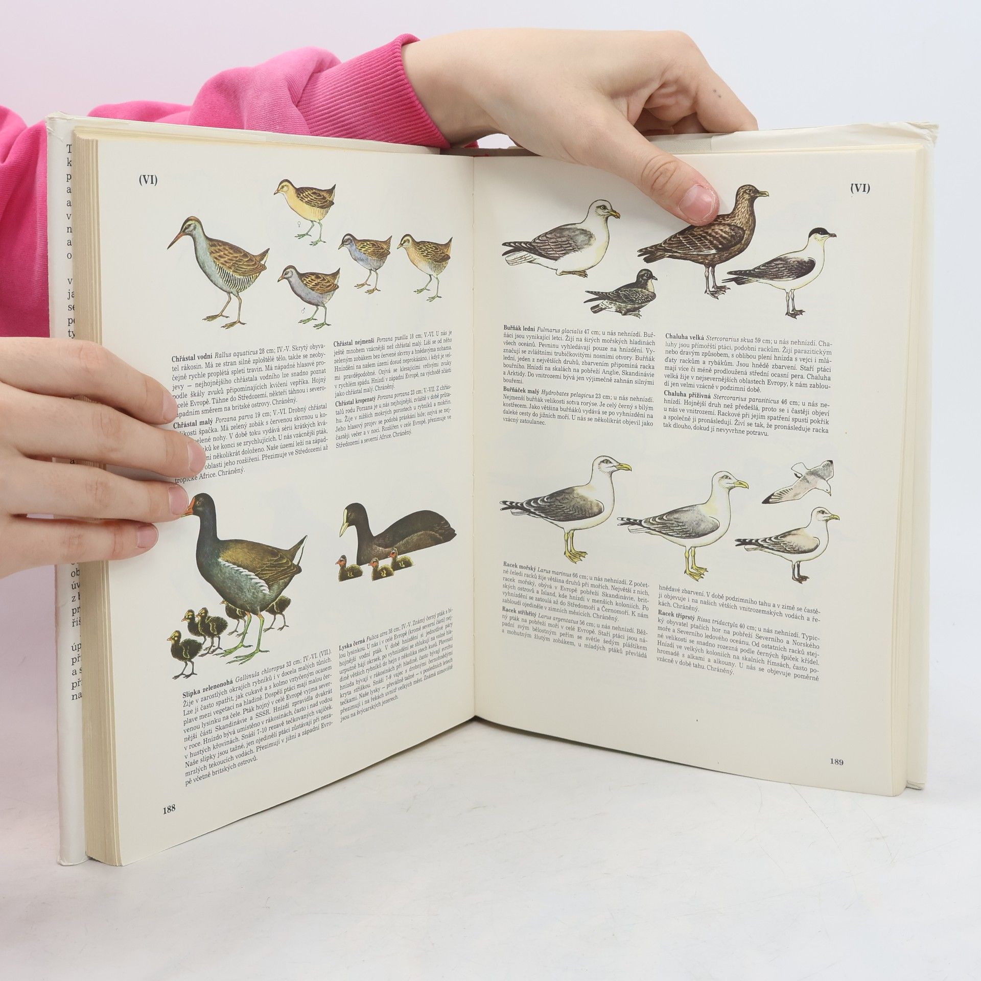 Autores varios Příroda v ČSSR