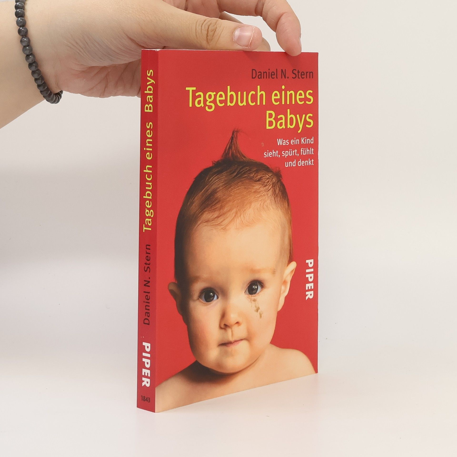 Daniel Stern Tagebuch eines Babys