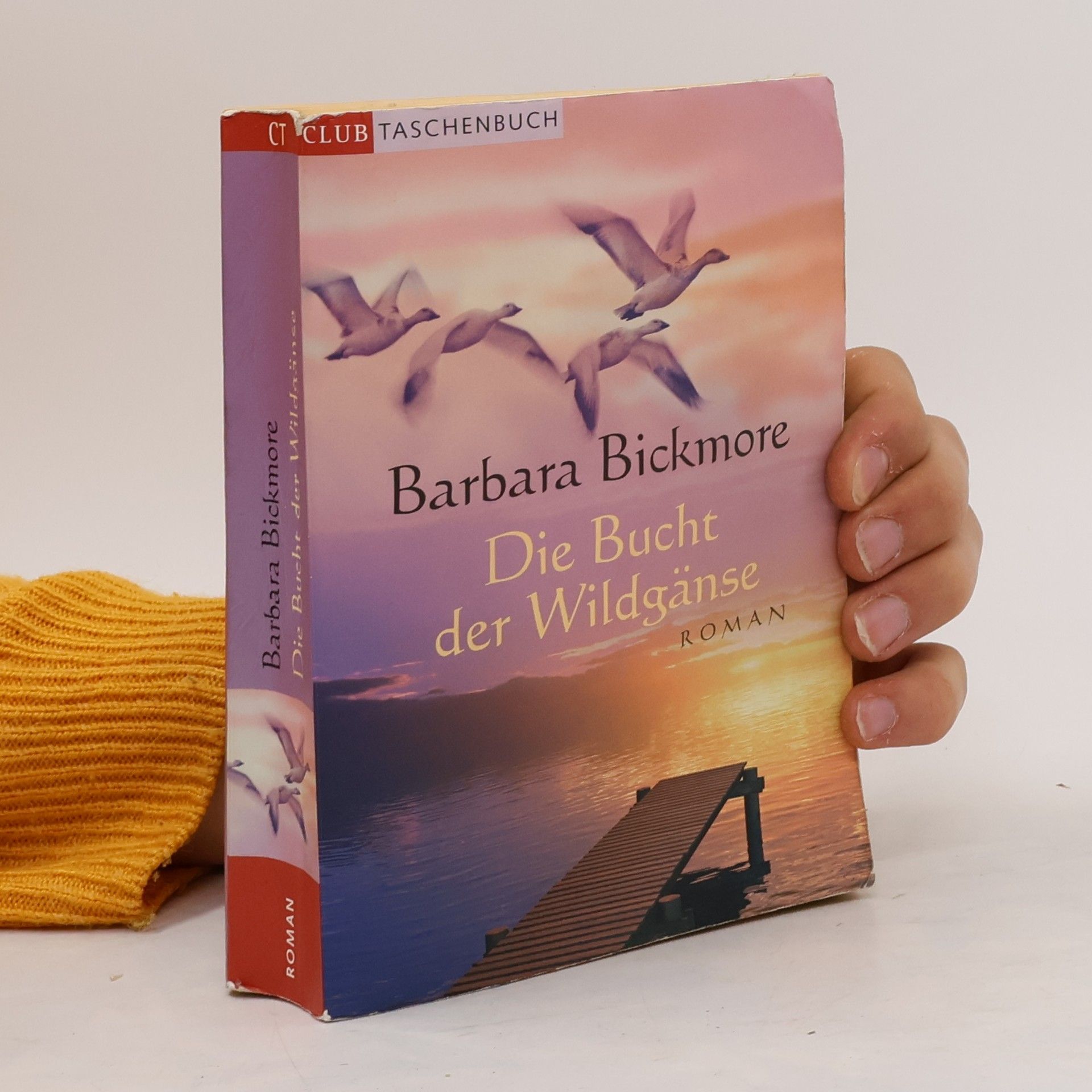 Barbara Bickmore Die Bucht der Wildgänse