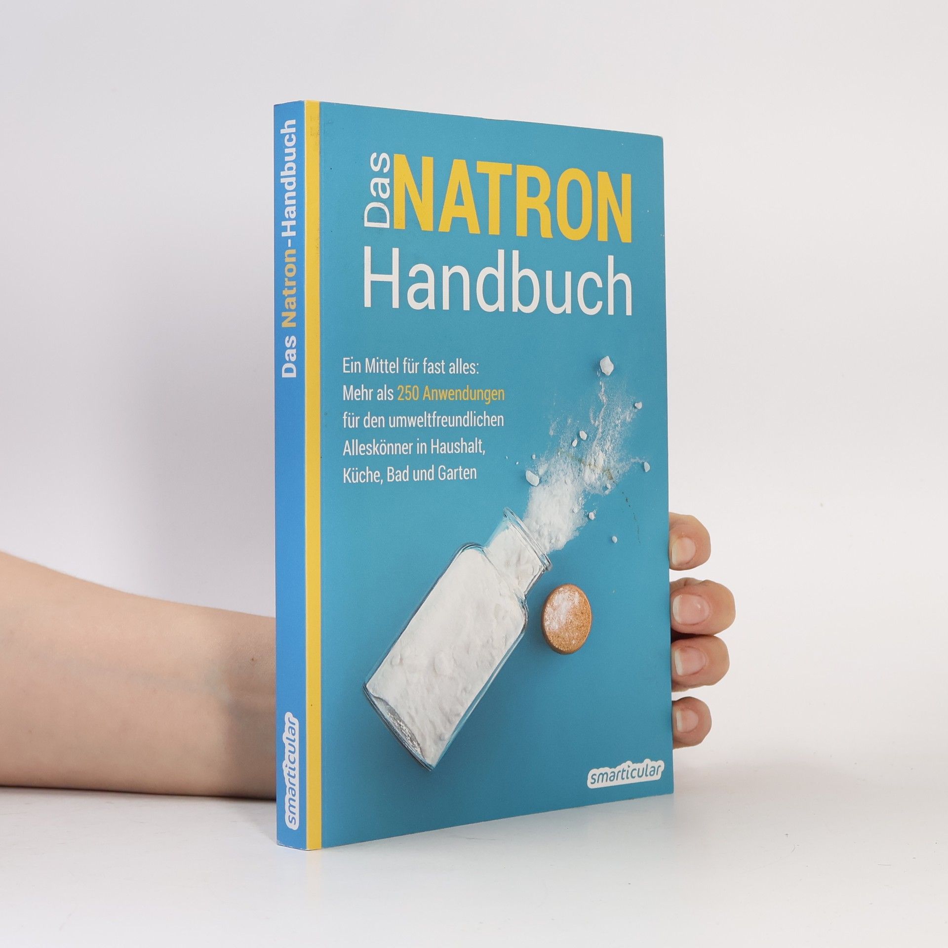 Kolektiv autorů Das Natron-Handbuch