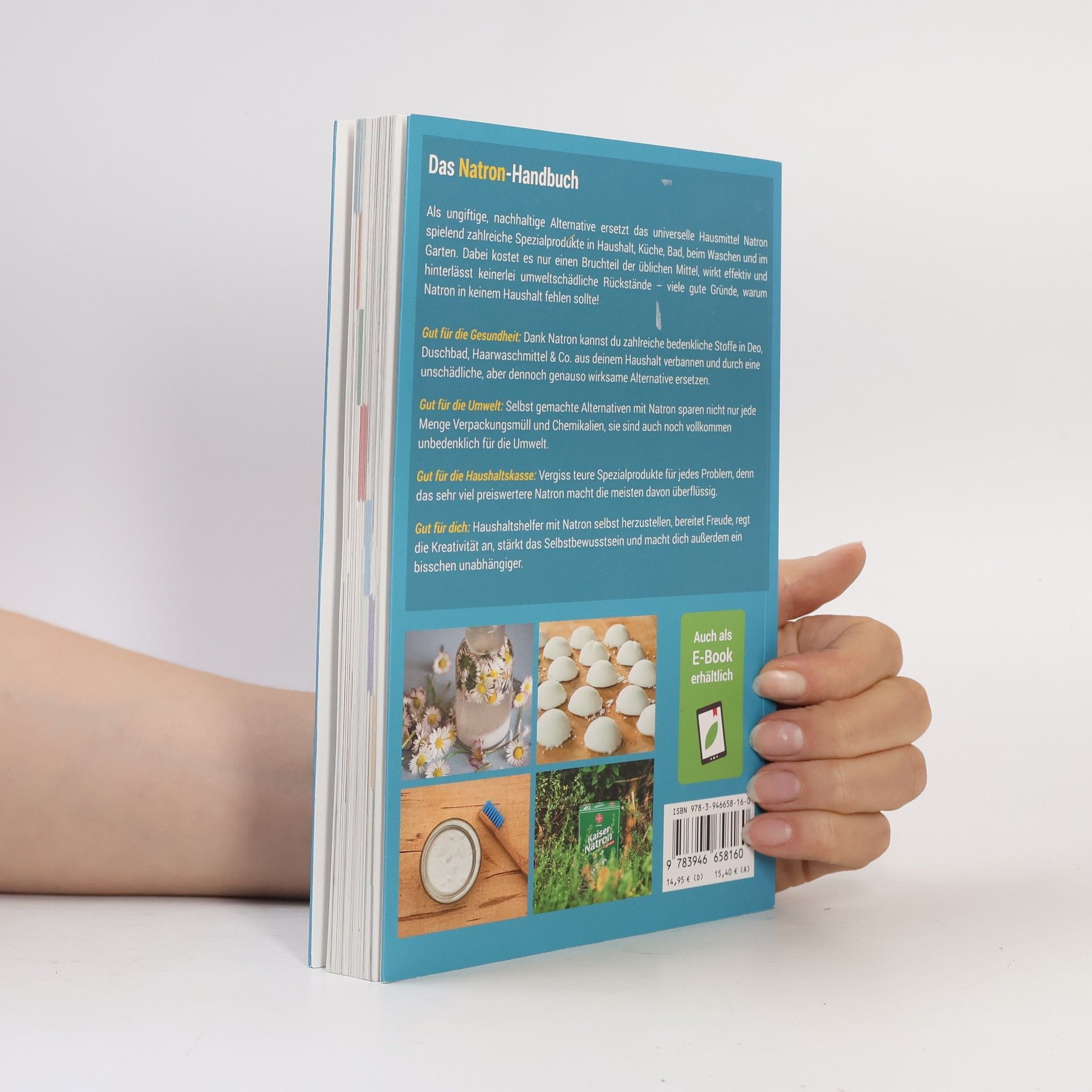Auteurscollectief Das Natron-Handbuch