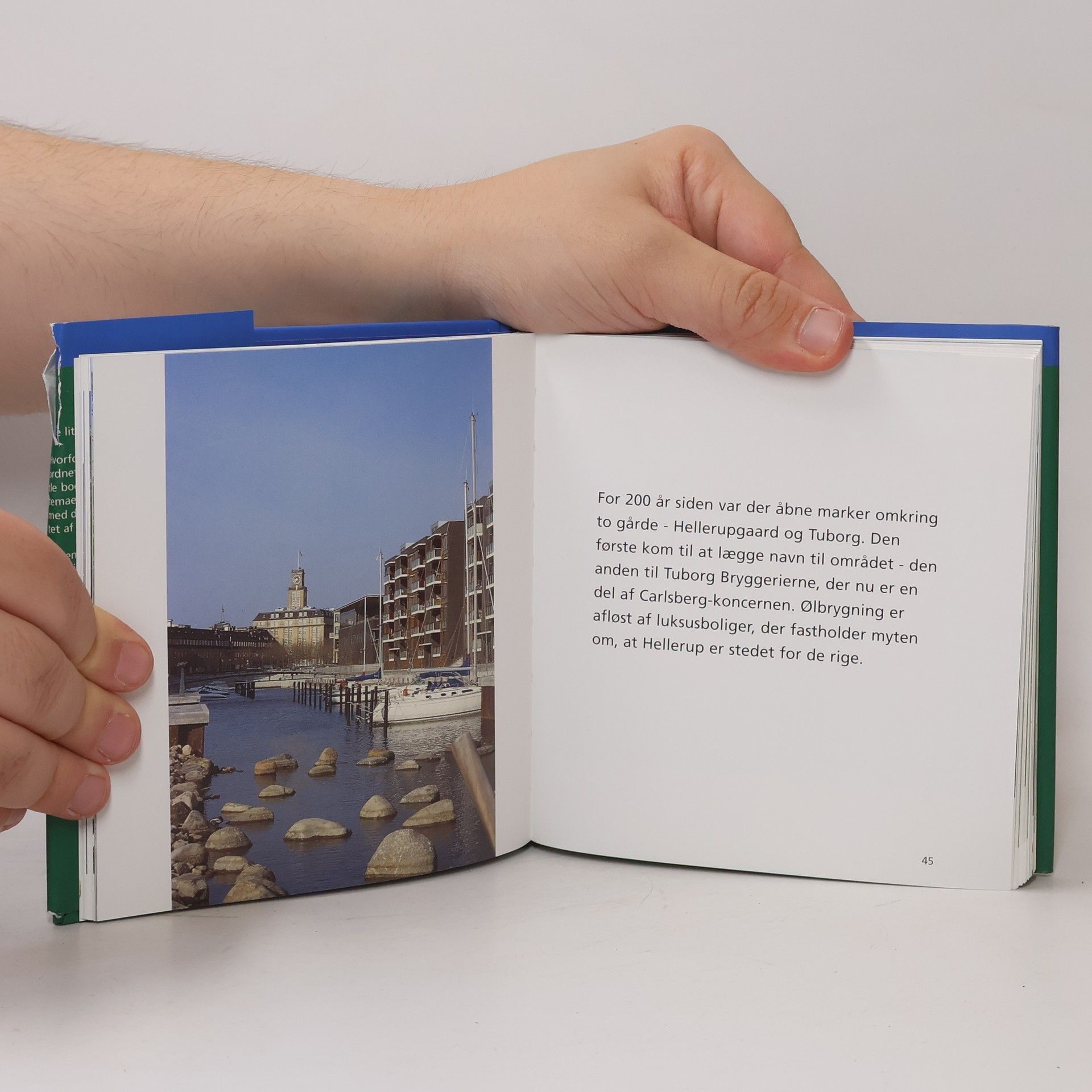 Birthe Lauritsen The Little Book about København
