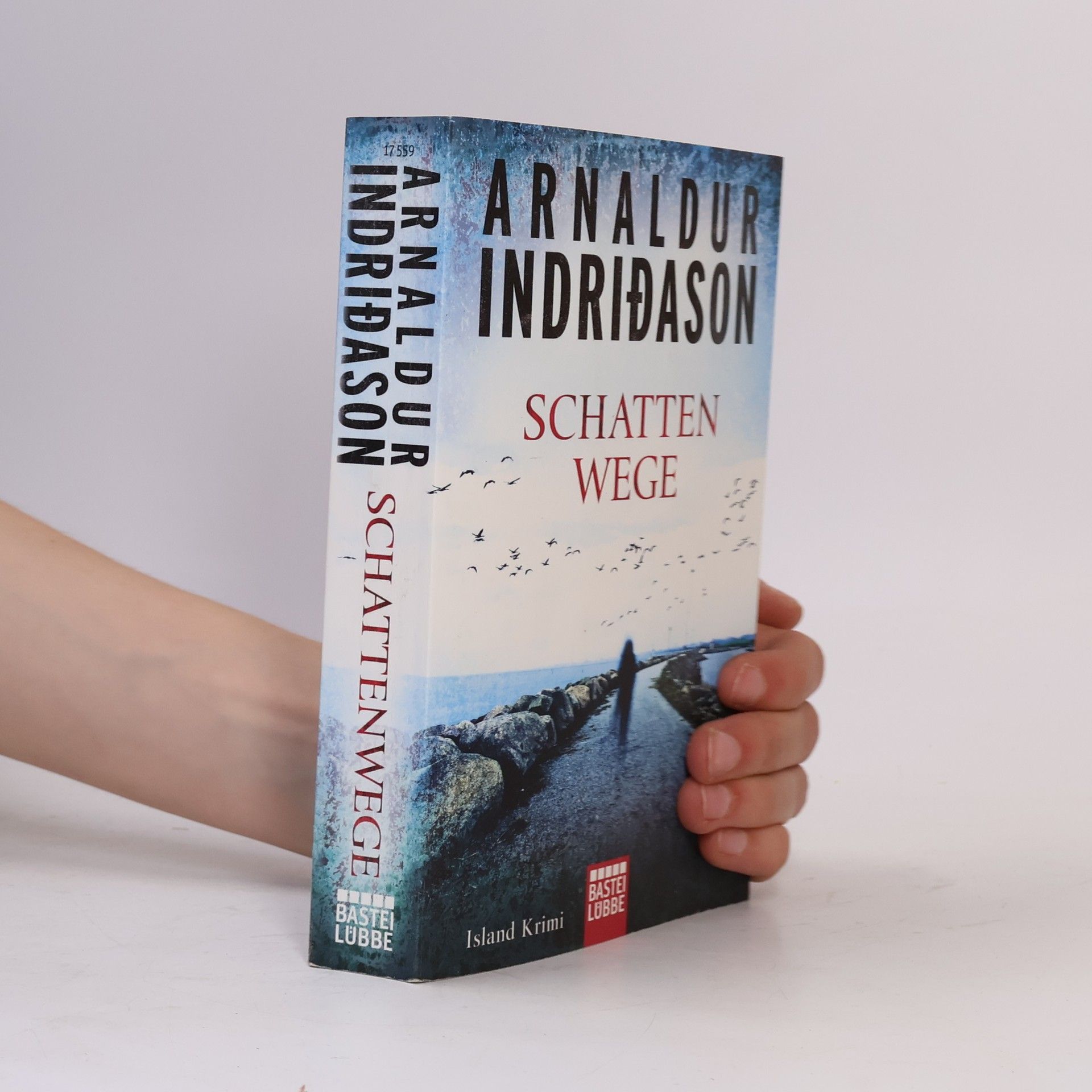 Arnaldur Indridason Schattenwege