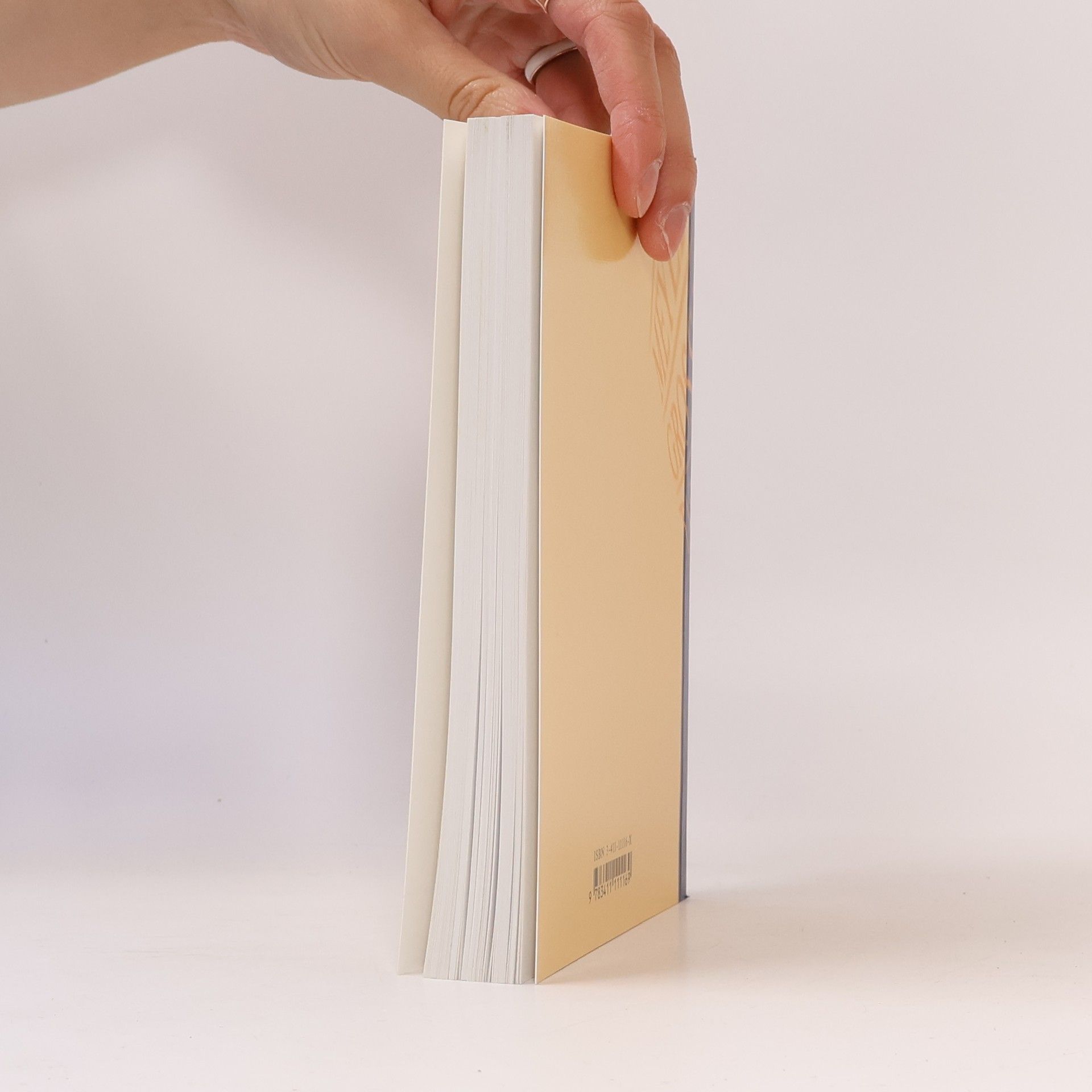 Marianne Strzysch-Siebeck Meyers Grosses Taschen Lexikon in 24 Bänden 11. Jep-Kno