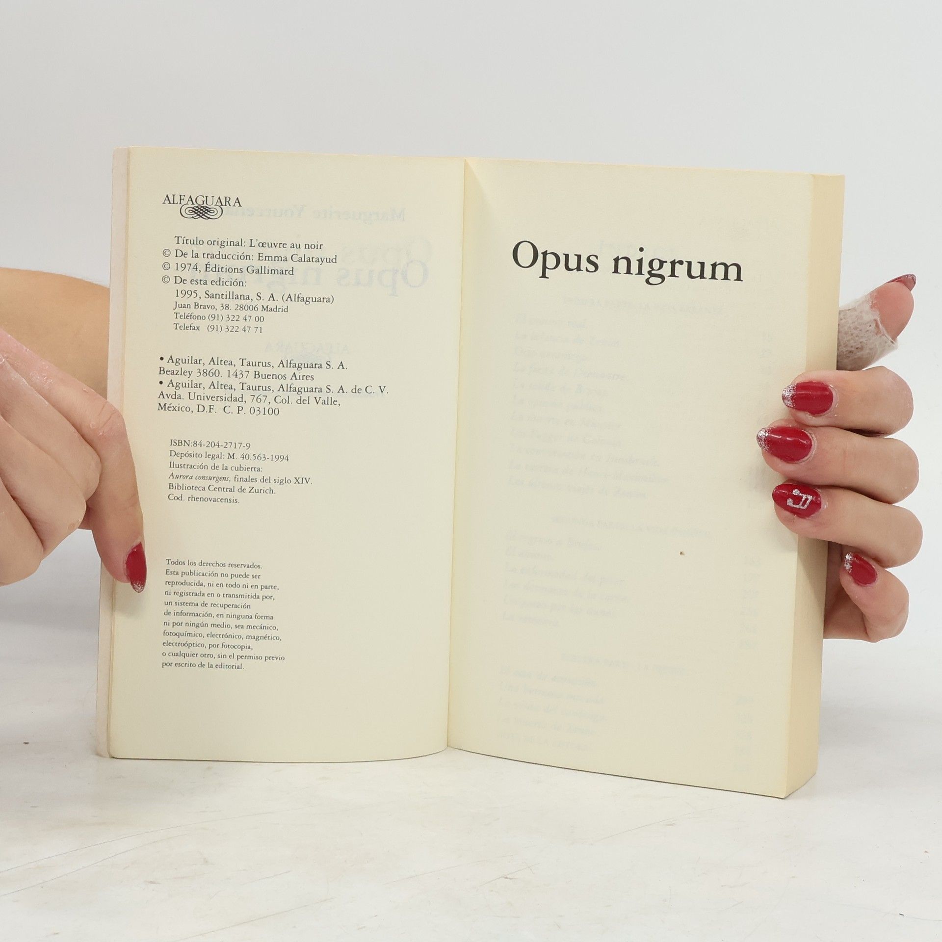 Marguerite Yourcenar Bolsillo: Opus nigrum
