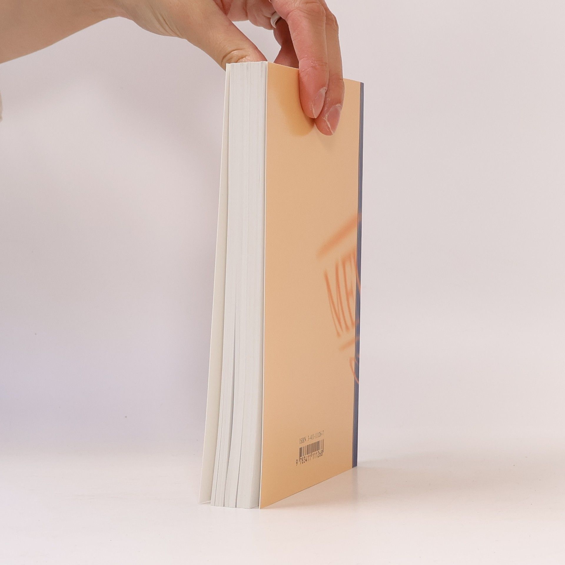 Marianne Strzysch-Siebeck Meyers Grosses Taschen Lexikon in 24 Bänden 12. Knu - Land