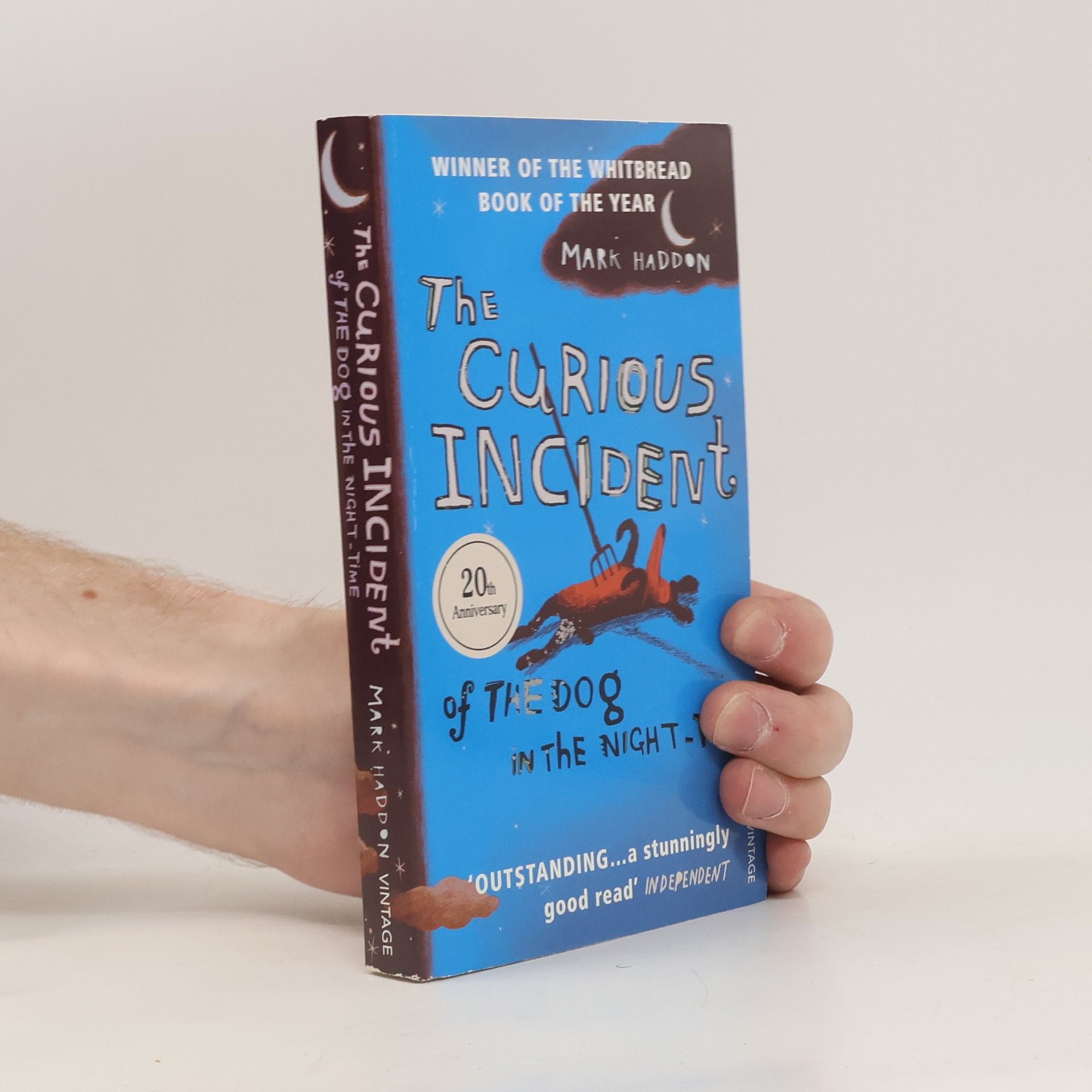 Mark Haddon The Curious Incident of The Dog in The Night-Time