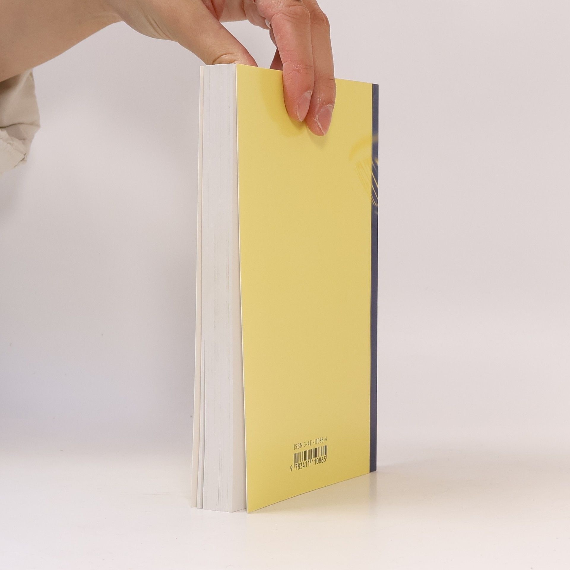 Marianne Strzysch-Siebeck Meyers grosses Taschen Lexikon in 24 Bänden 8. Gebr-Gri