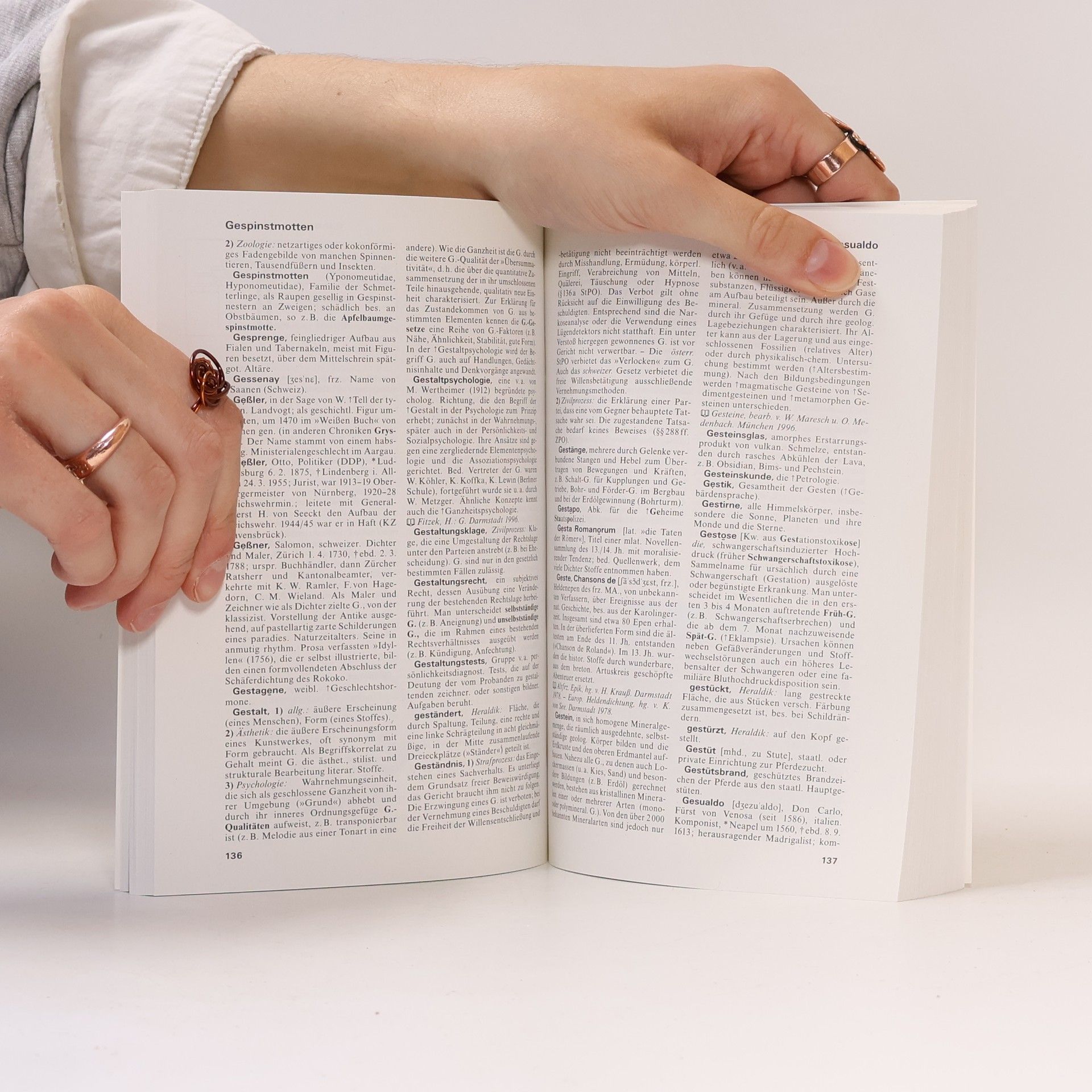 Marianne Strzysch-Siebeck Meyers grosses Taschen Lexikon in 24 Bänden 8. Gebr-Gri