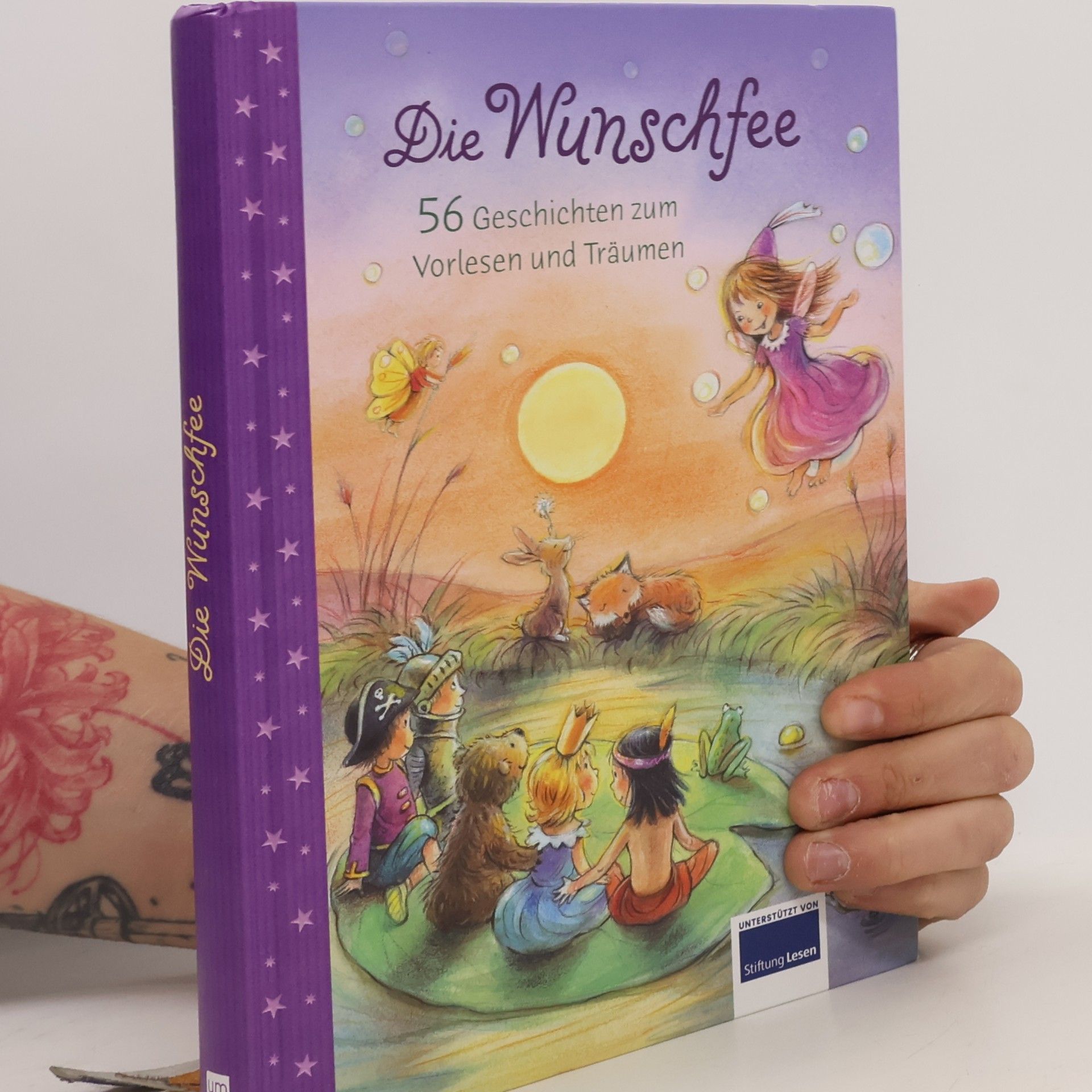 Kolektiv autorů Die Wunschfee. 56 Geschichten zum Vorlesen und Träumen