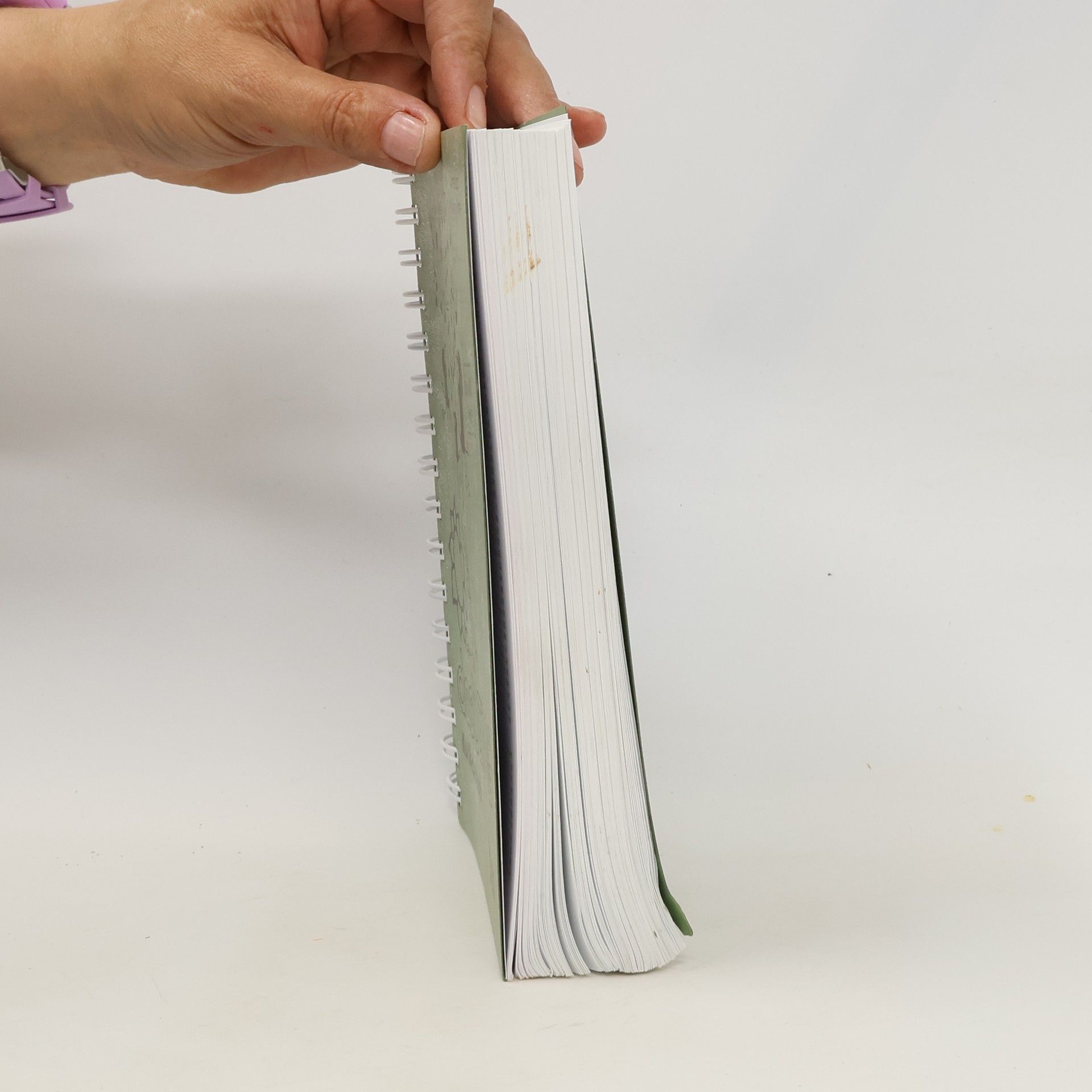 Andreas Lutz Das Ding 5 – Kultliederbuch