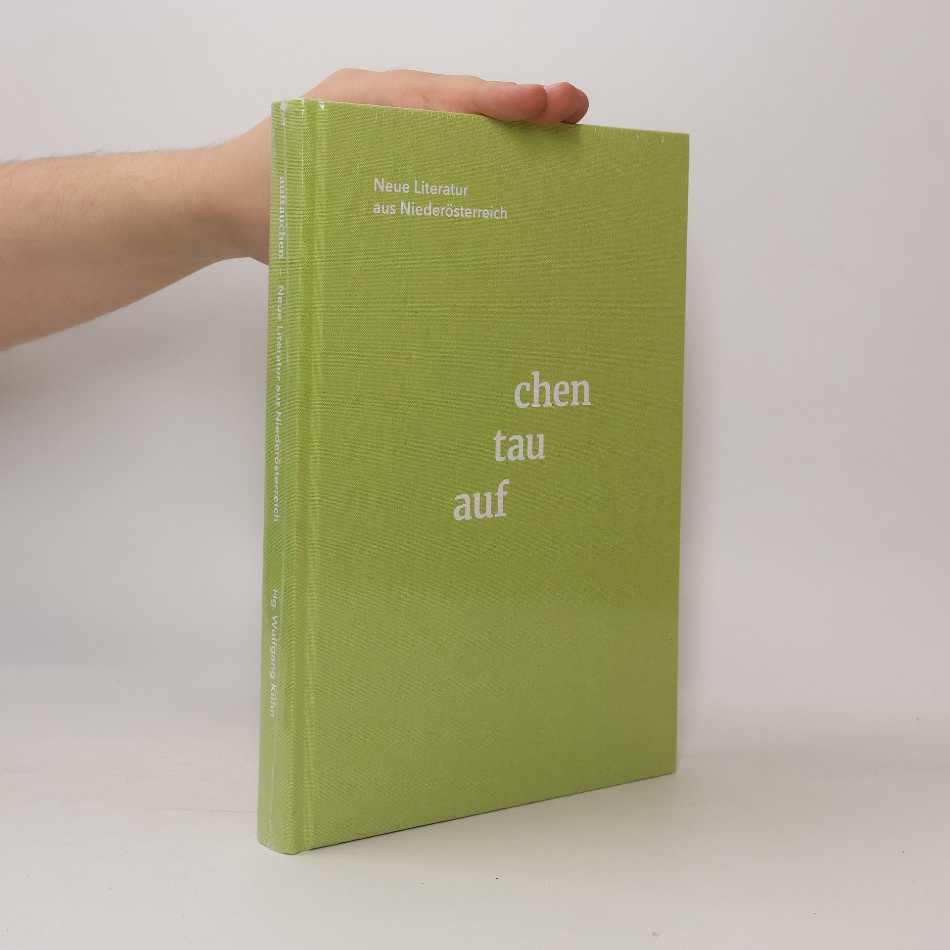 Wofgang Kühn Neue Literatur aus Niederösterreich. Auftauchen