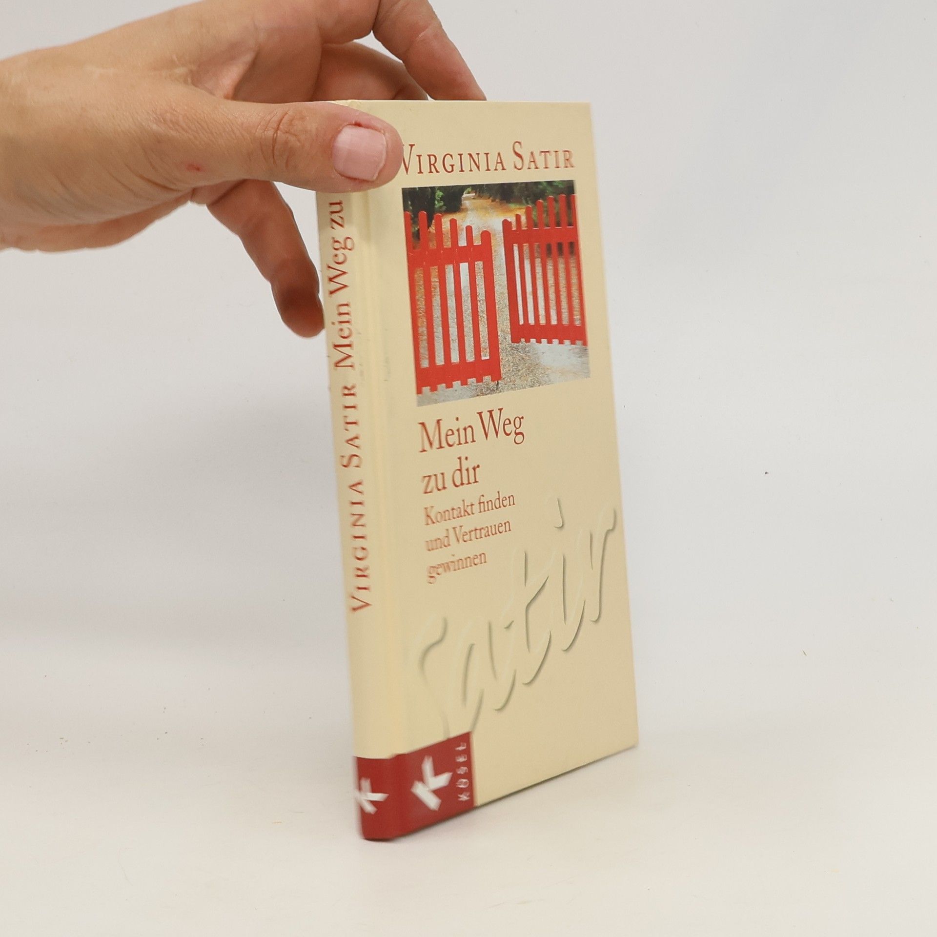Virginia Satir Mein Weg zu dir