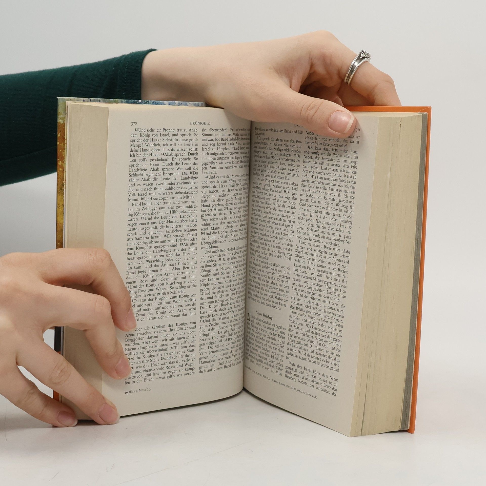 Martin Luther Die Bibel