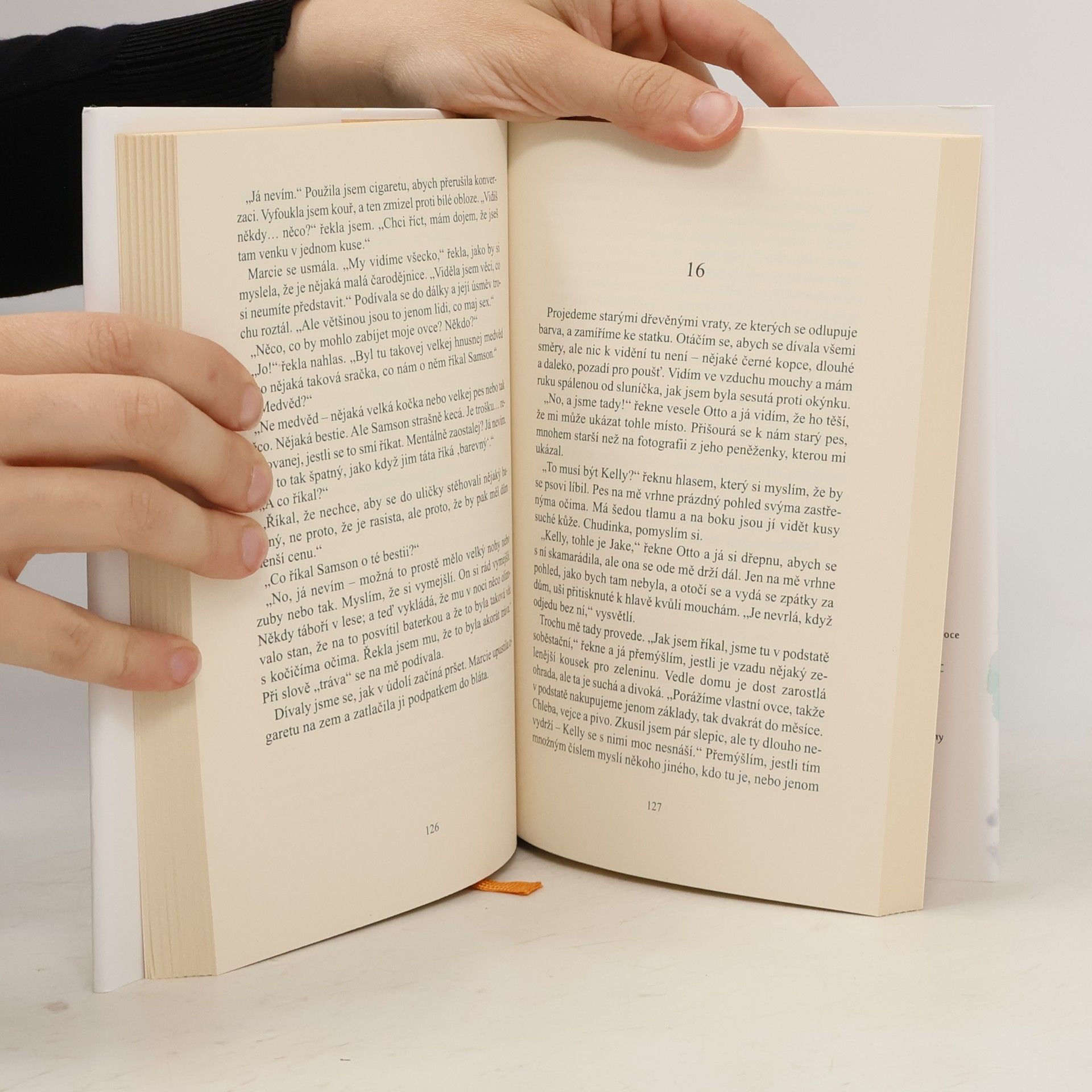 Evie Wyld Zpívá, zpívá každý pták