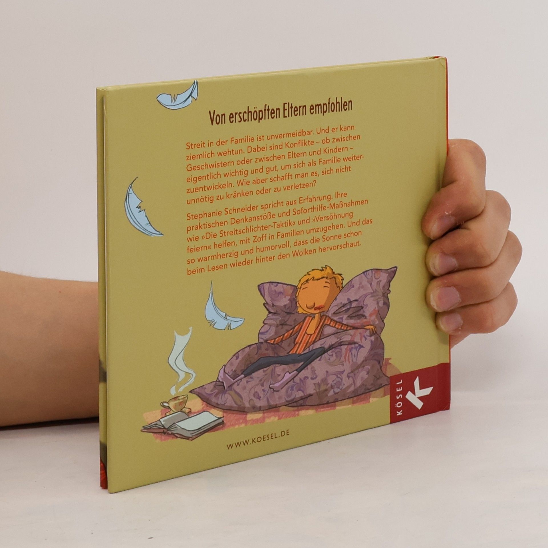 Stephanie Schneider Der kleine Streitberater