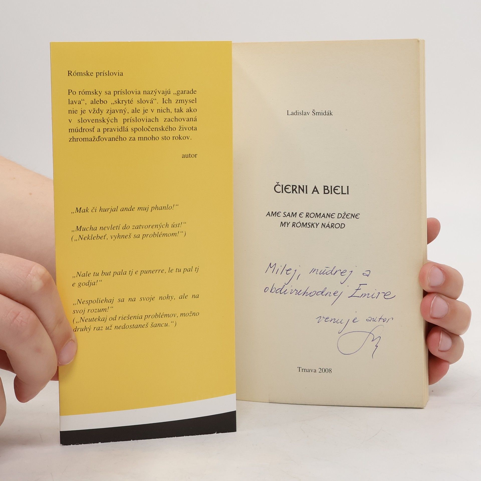 Ladislav Šmidák Čierni a bieli: Ame sam e Romane džene. My Rómsky národ