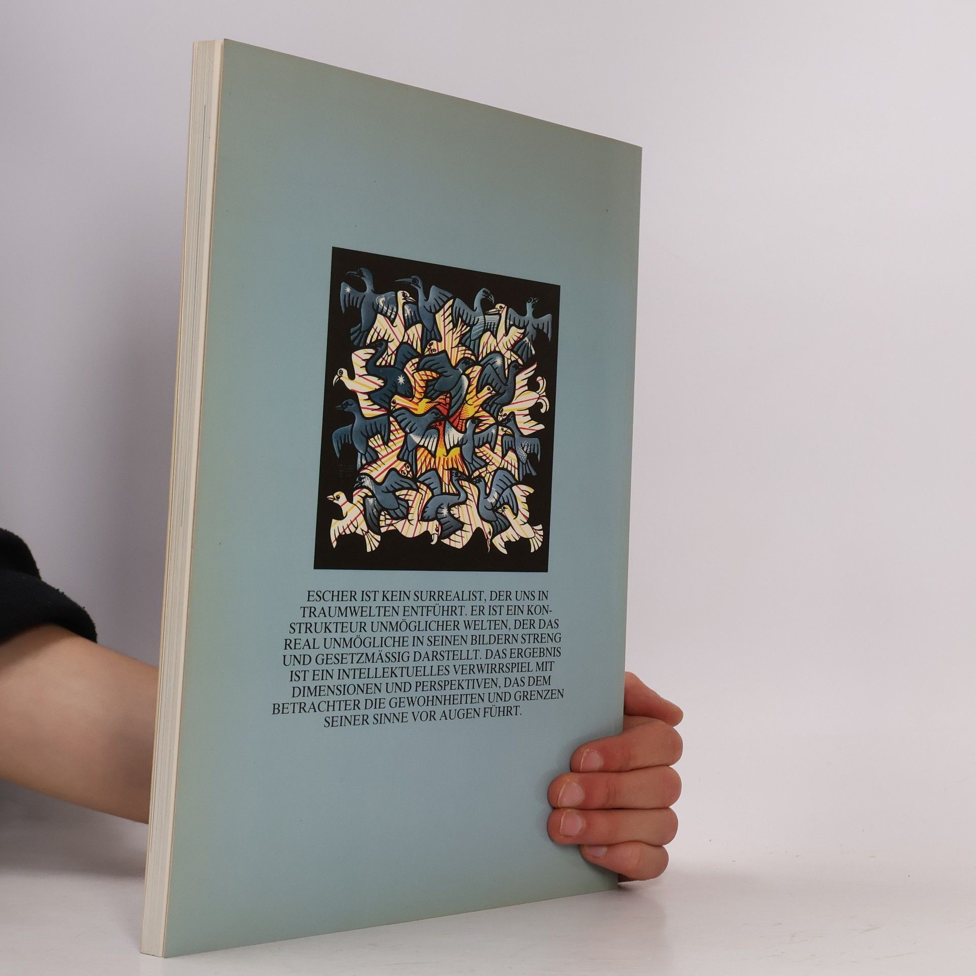 Various authors Der Zauberspiegel des Maurits Cornelis Escher