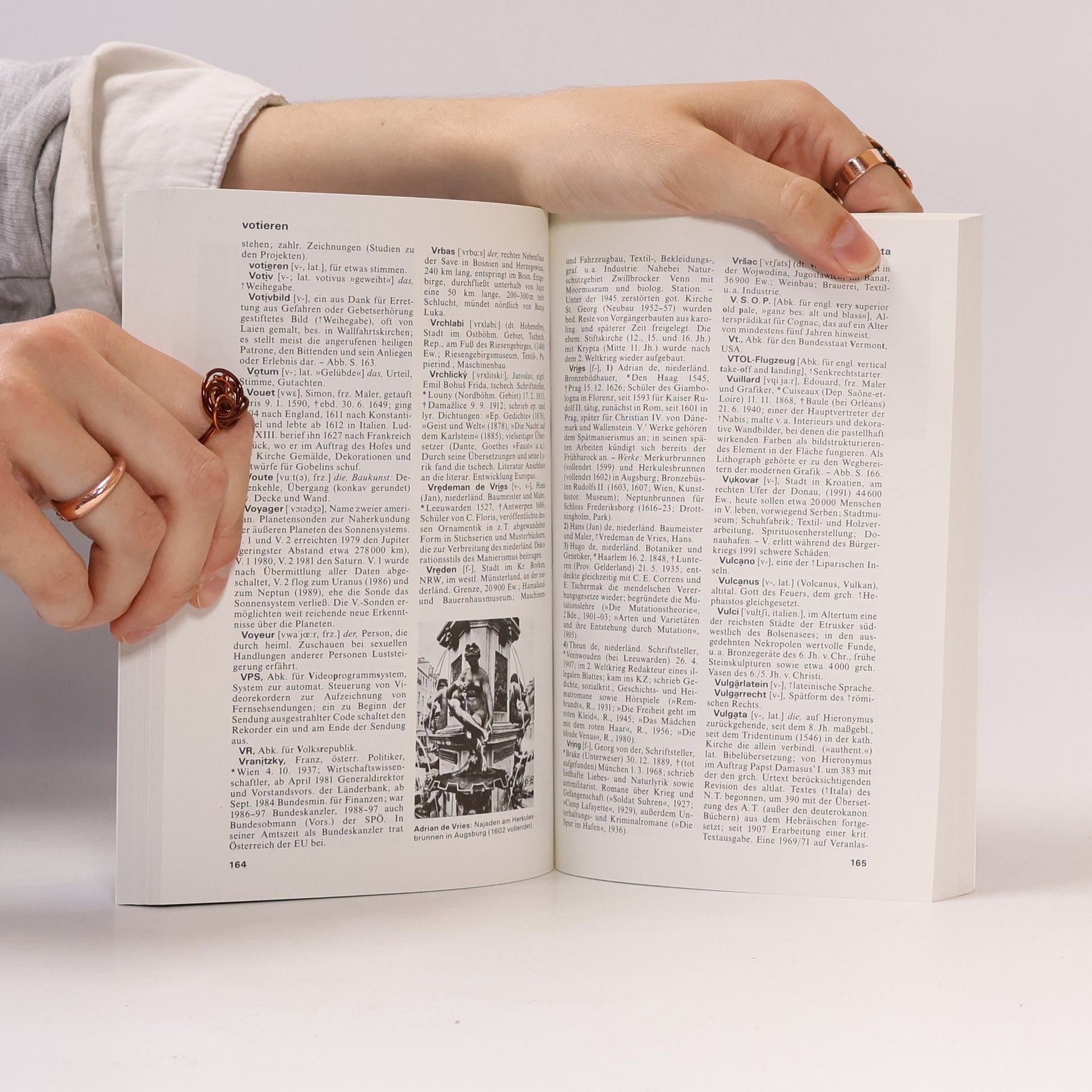 Marianne Strzysch-Siebeck Meyers grosses Taschen-Lexikon 23