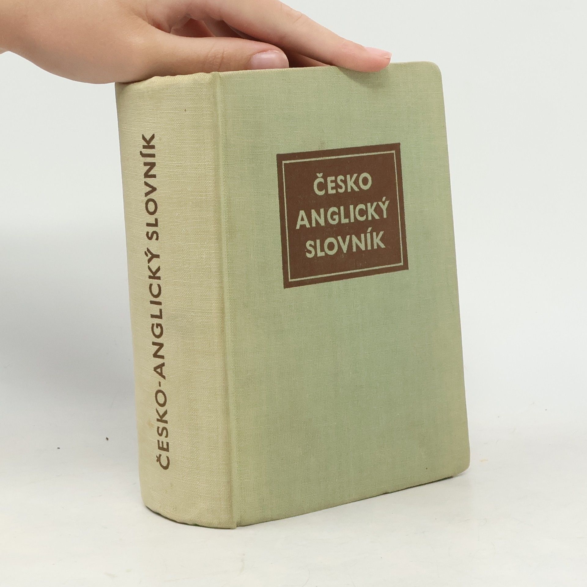 Autorenkollektiv Česko- anglický slovník