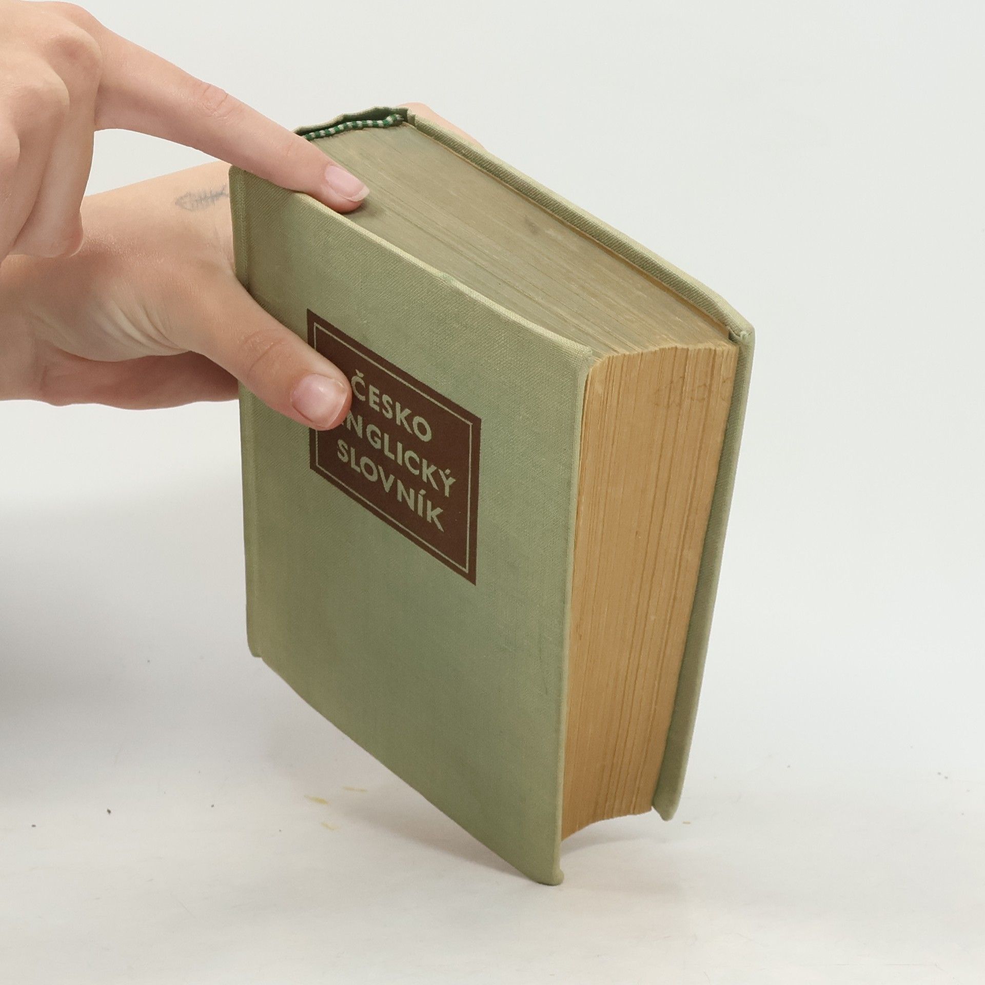 Auteurscollectief Česko- anglický slovník