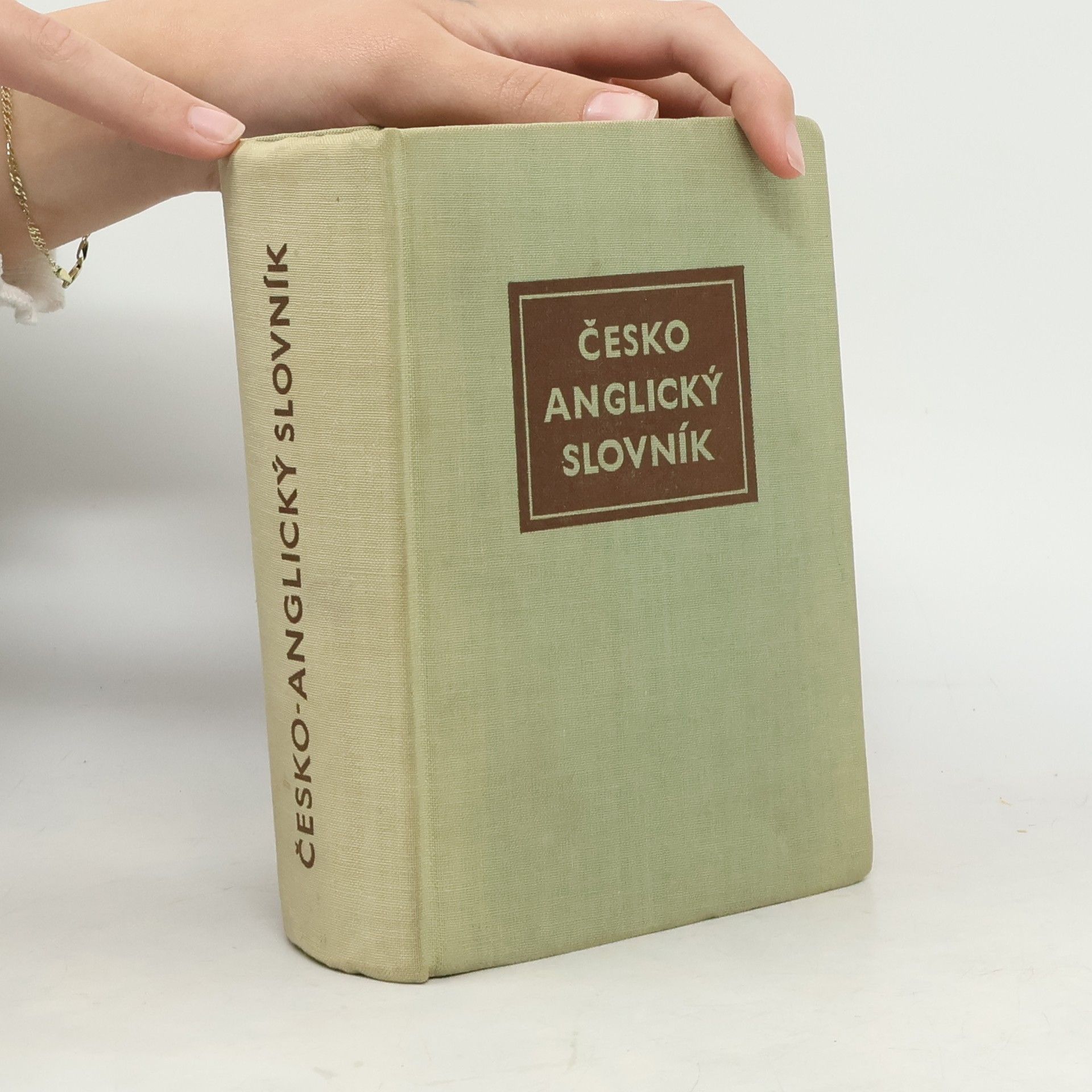 Auteurscollectief Česko- anglický slovník