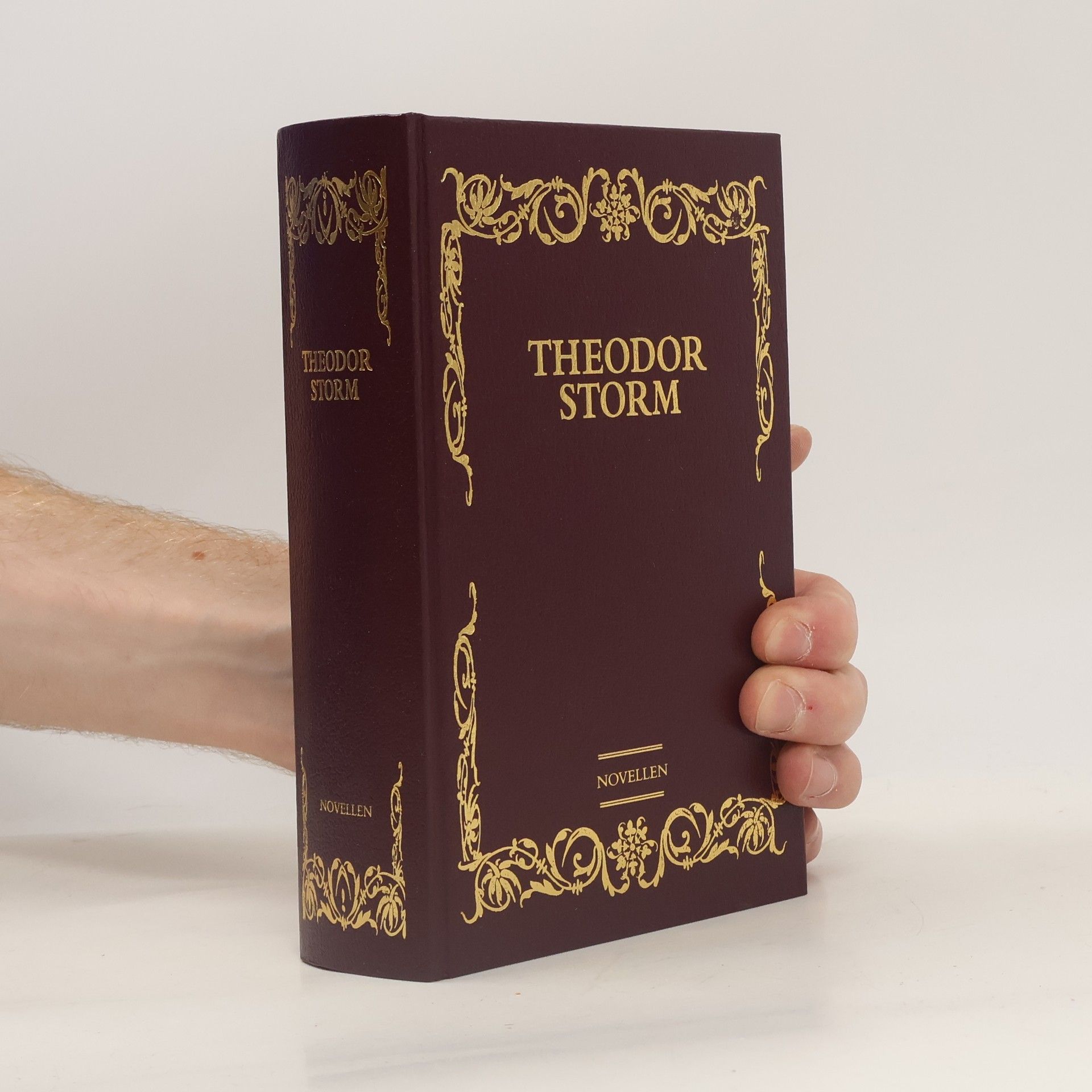 Hans Theodor Woldsen Storm Novellen